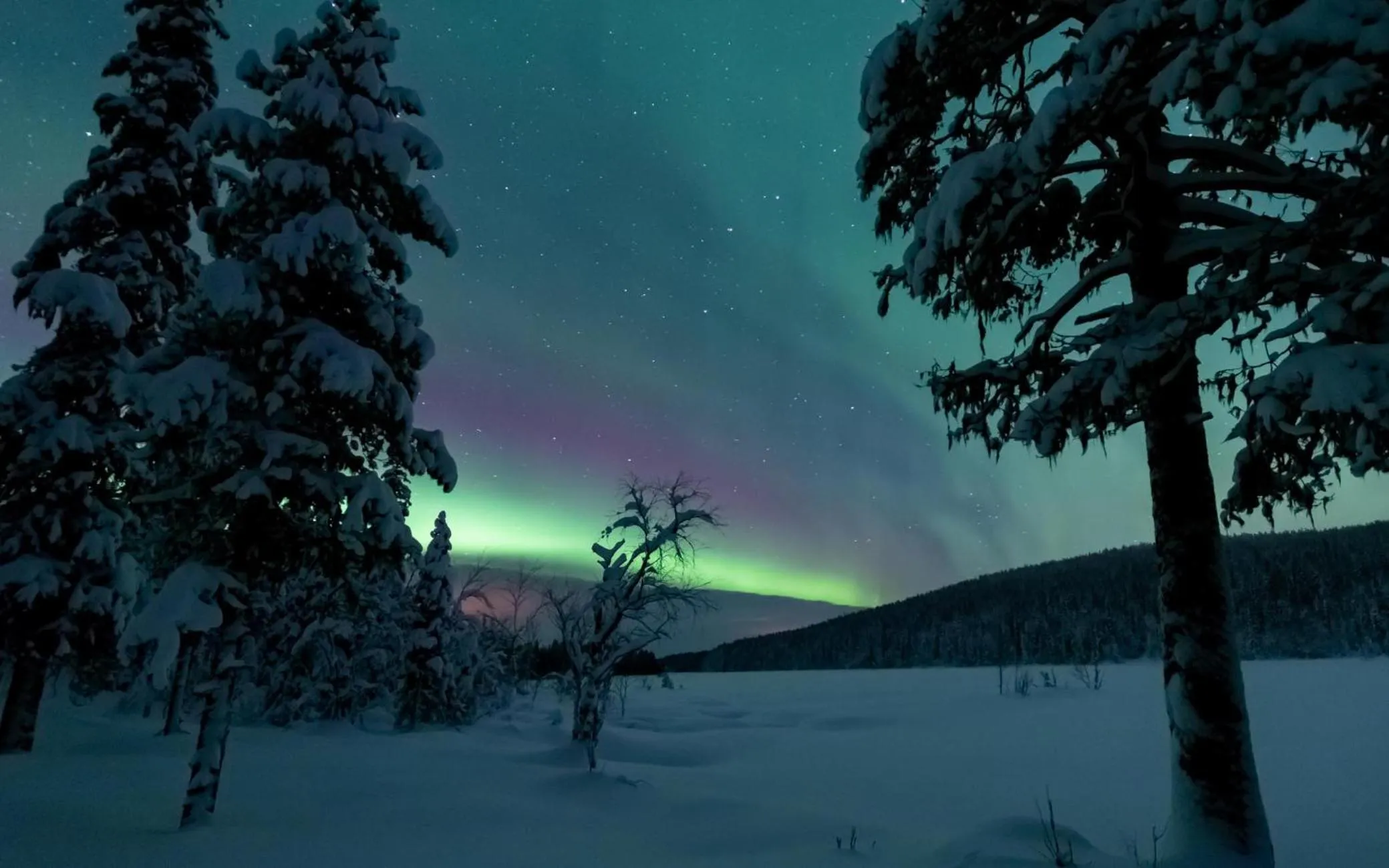 Off site in Arctic Skylight Lodge