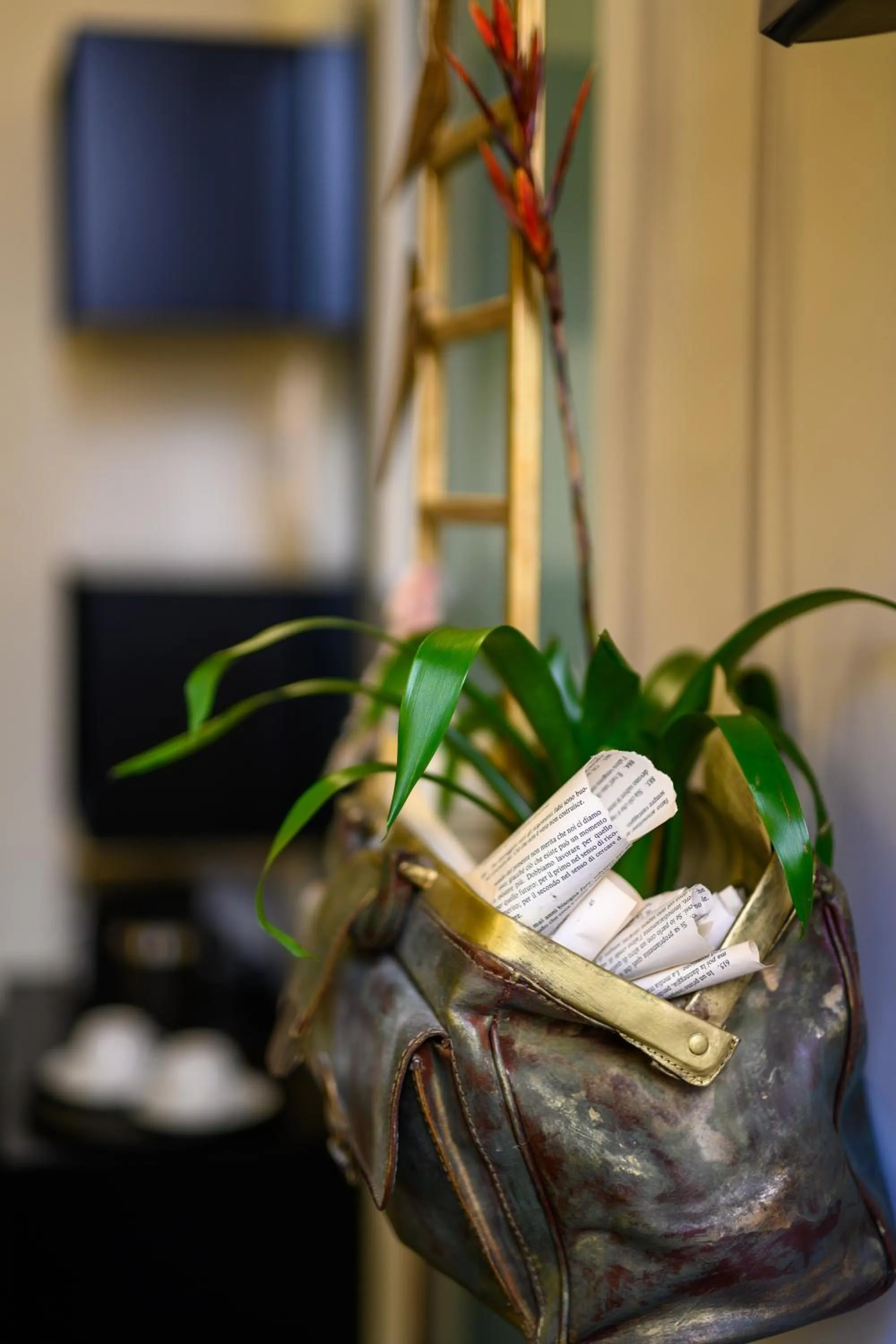 Decorative detail in Mastropasqua BB