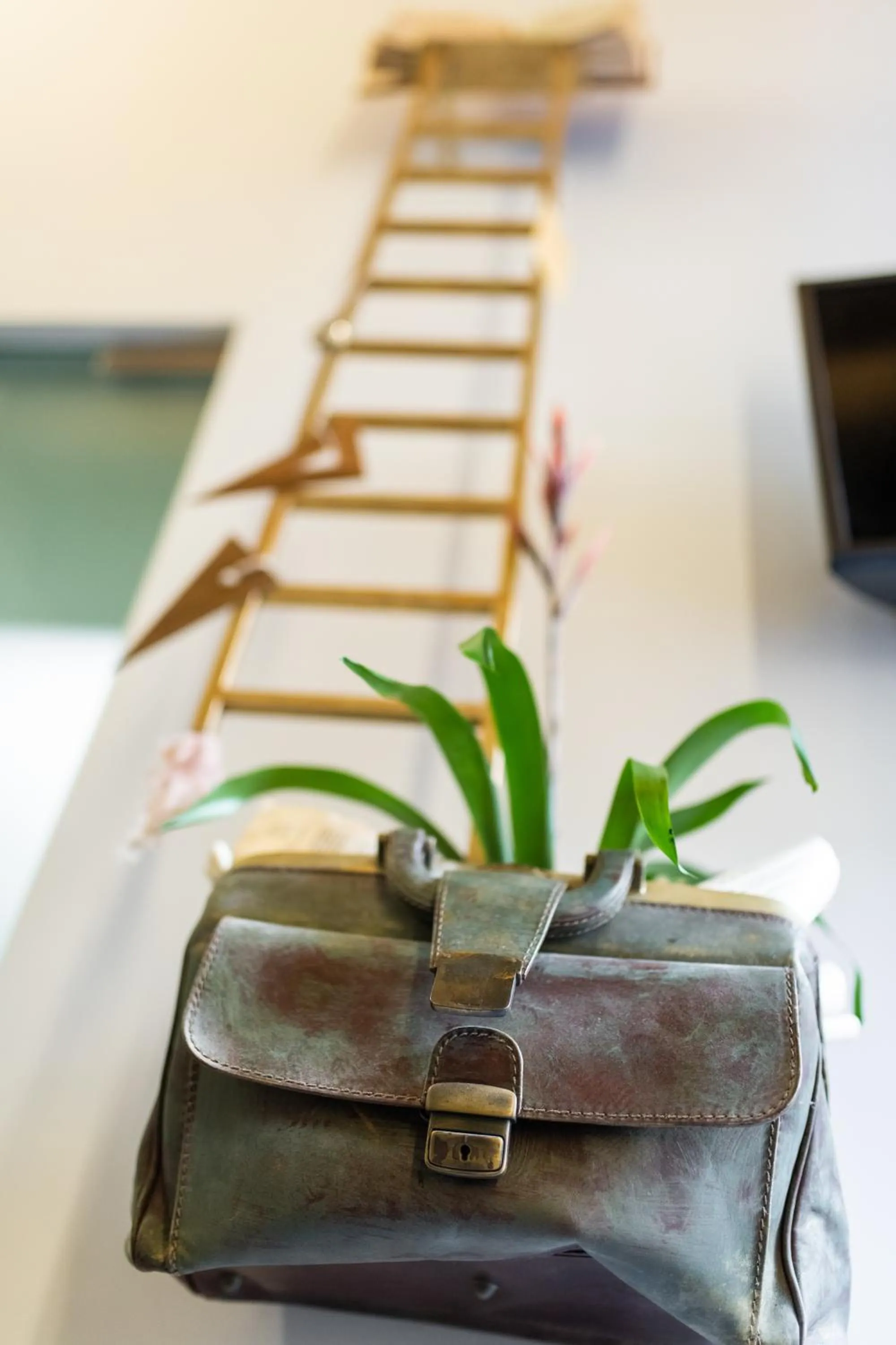 Decorative detail in Mastropasqua BB