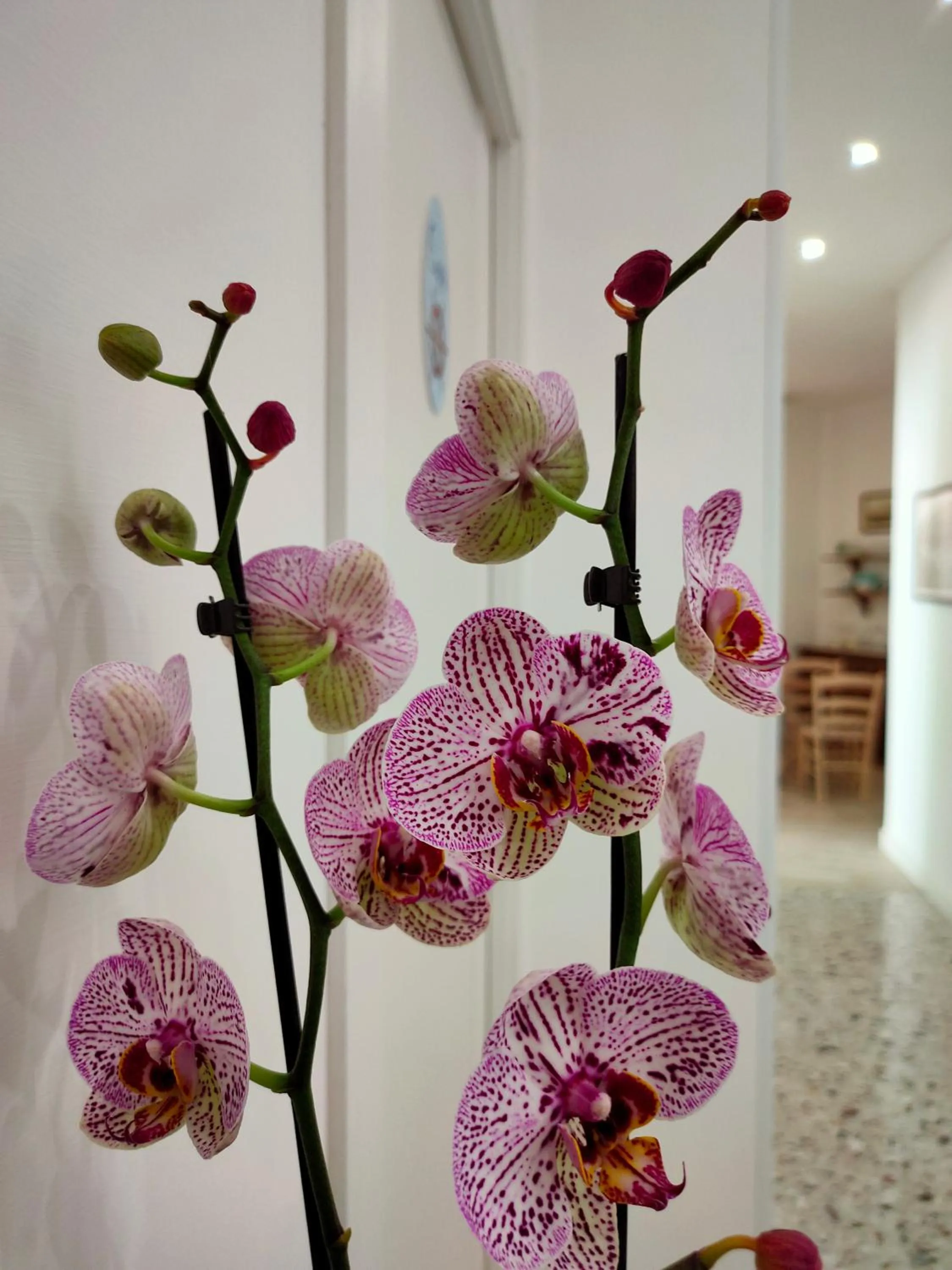 Decorative detail in B&B Il Vialetto