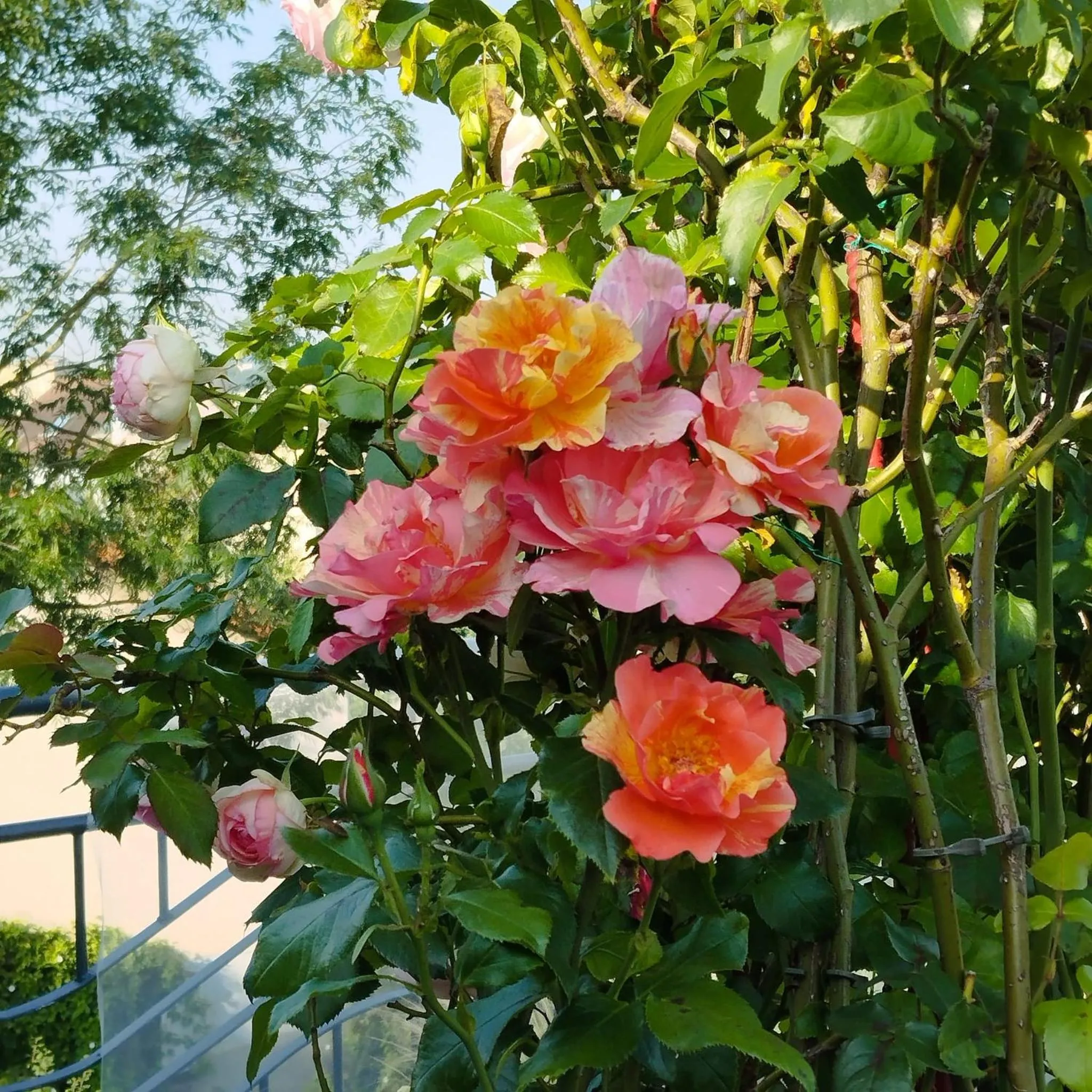 Spring in La Maison Du Coteau