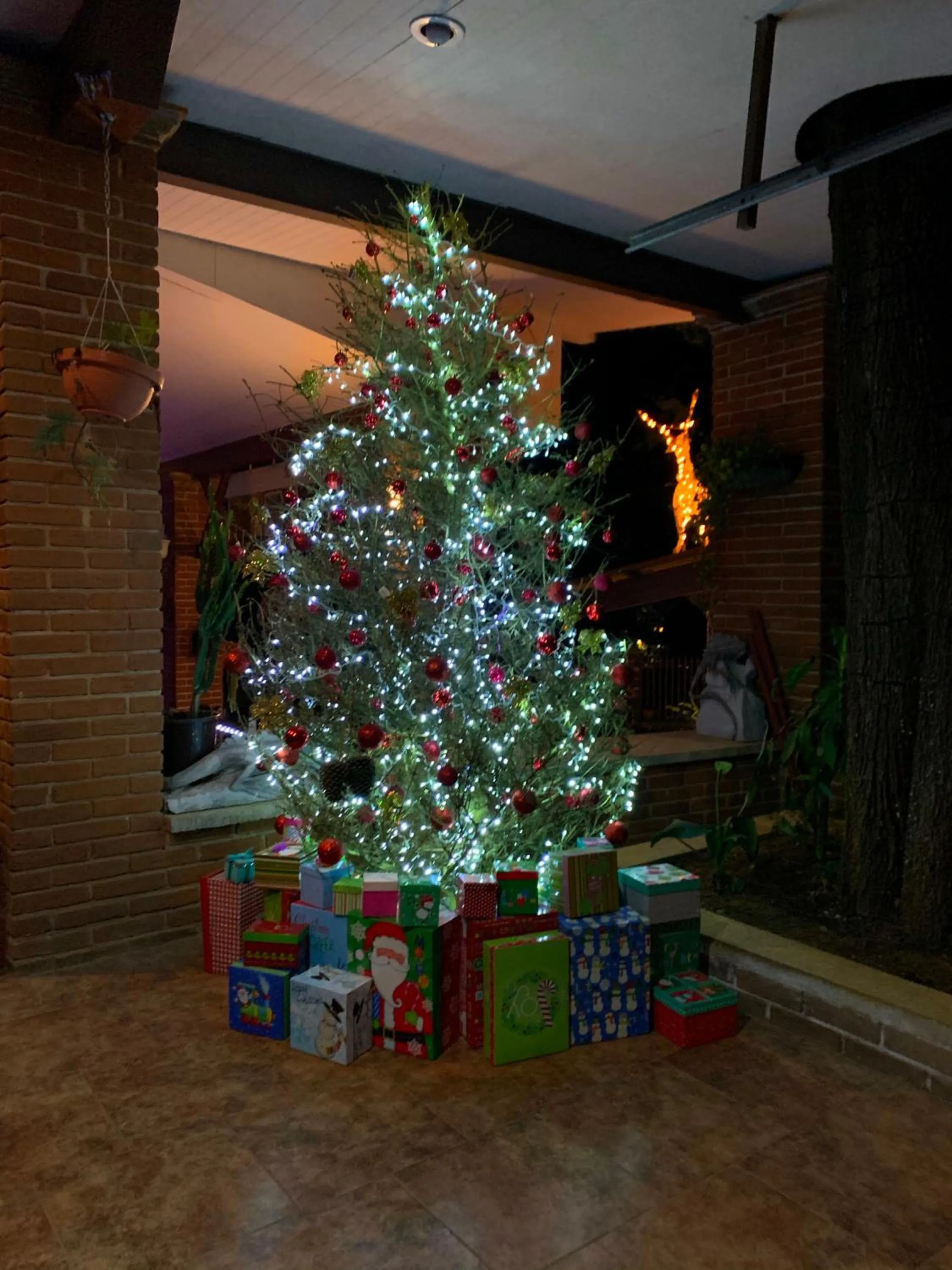 Activities in Quinta Maria Bonita Hotel Boutique