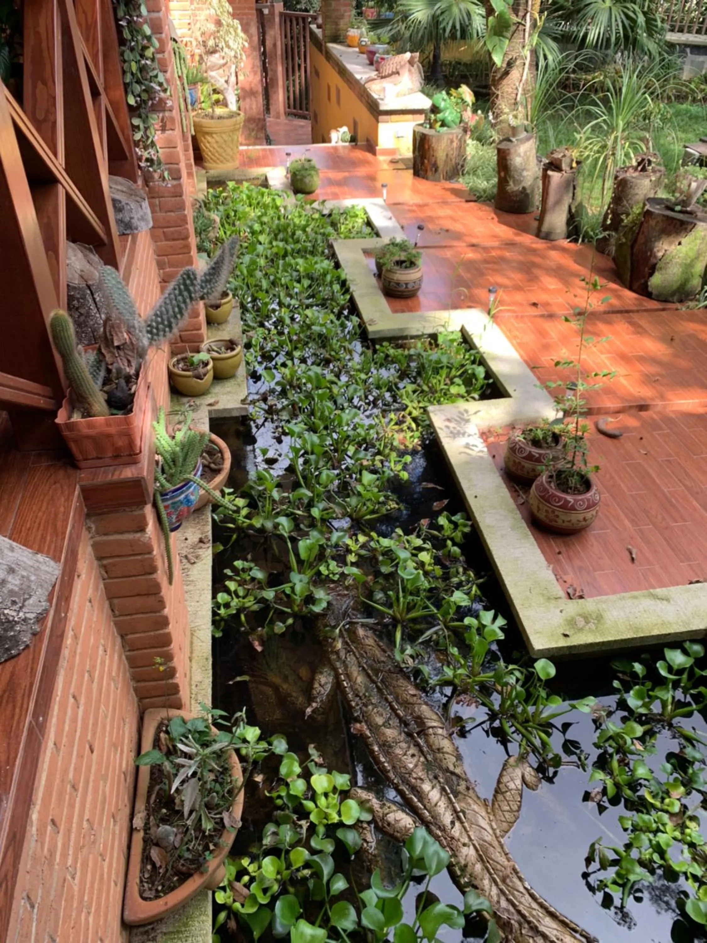 Off site in Quinta Maria Bonita Hotel Boutique