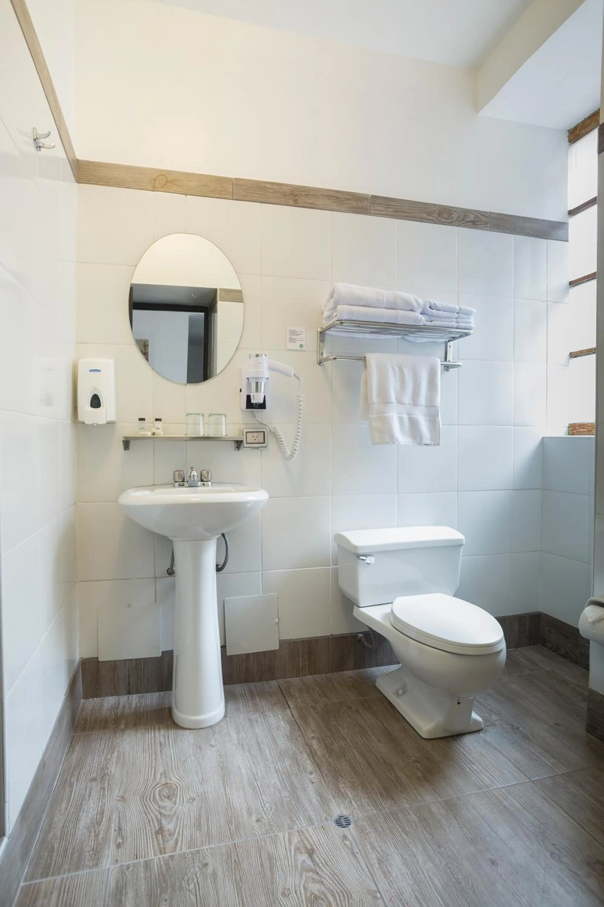 Toilet in SACHA Centric