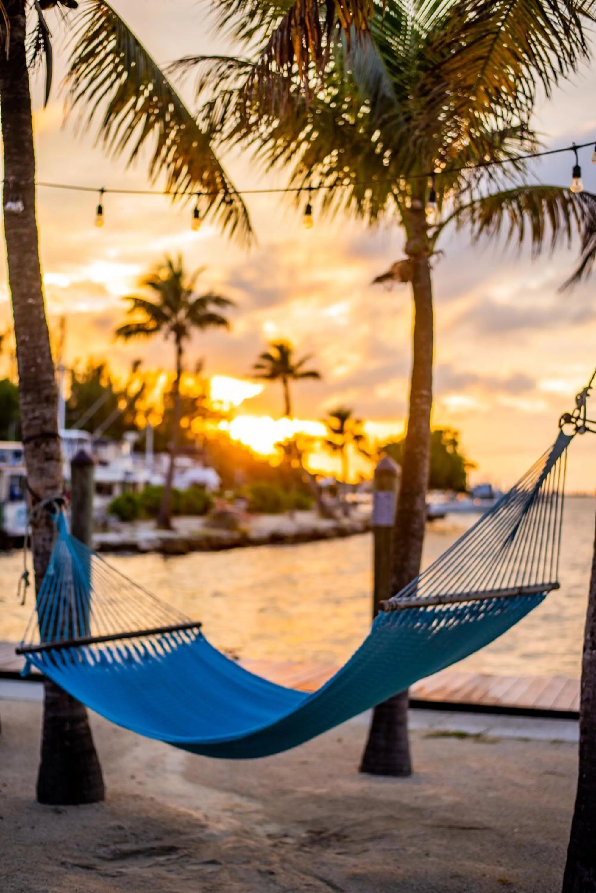 View (from property/room) in Banana Bay Resort & Marina