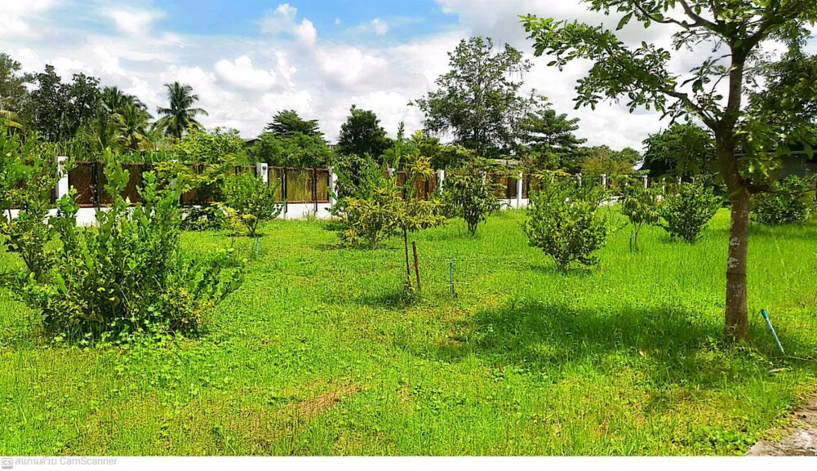Garden view in T-NEE Hotel@Udon