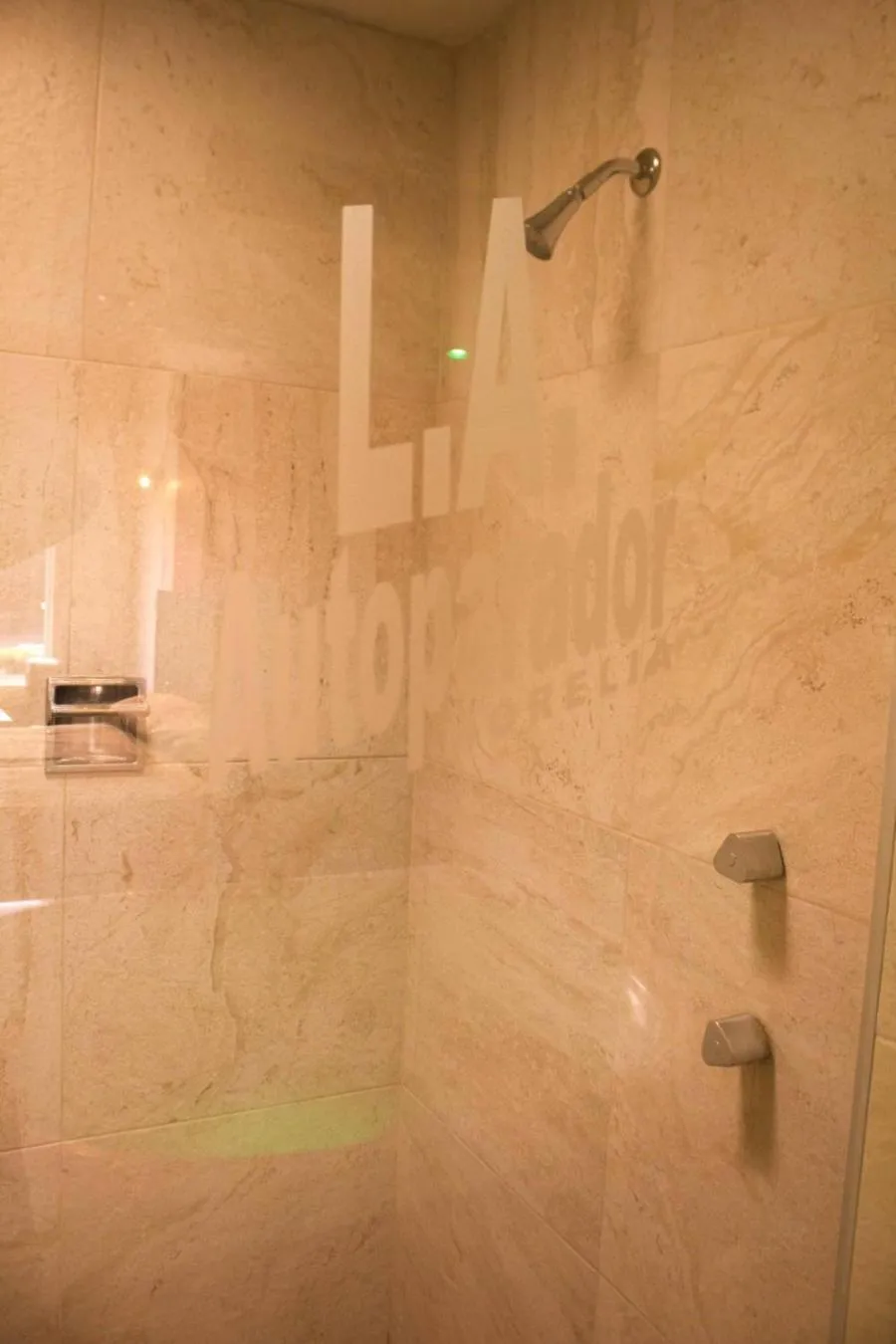 Shower, Bathroom in Motel LA Autoparador