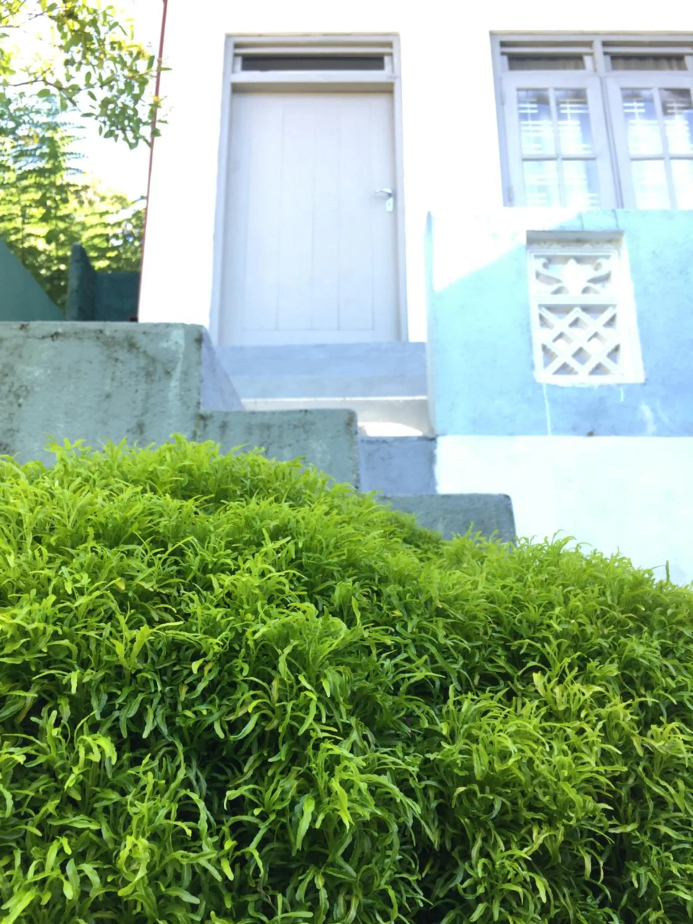 Property building in Hill cottage B&B