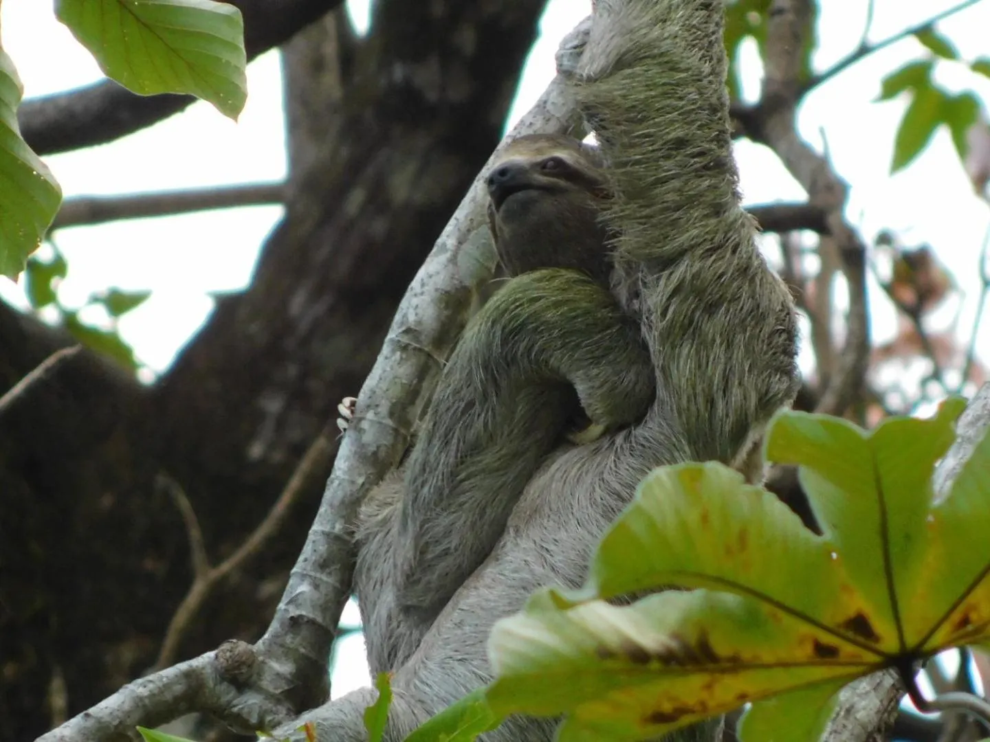Natural landscape in Guayabo Lodge