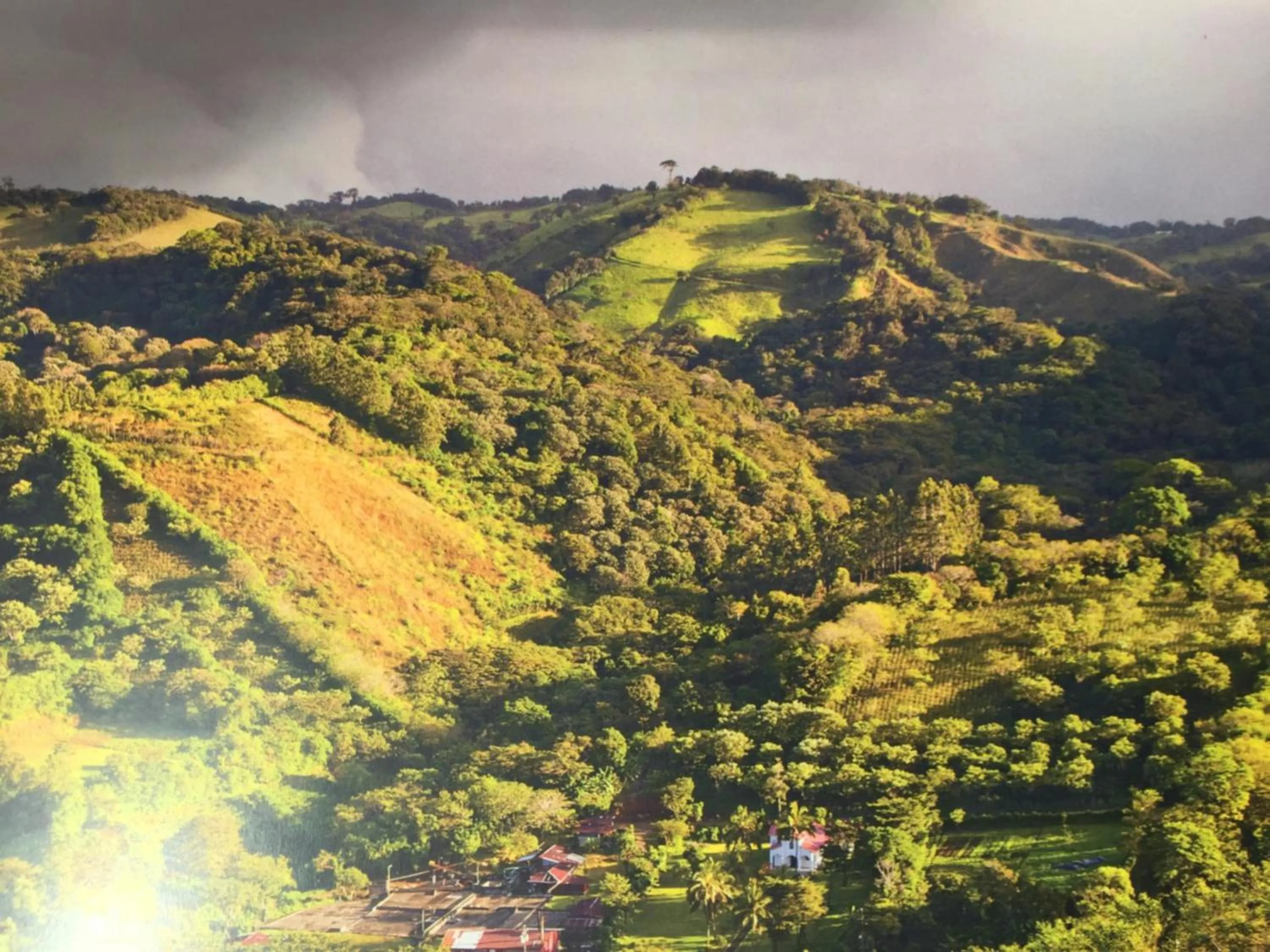 Natural landscape in Guayabo Lodge