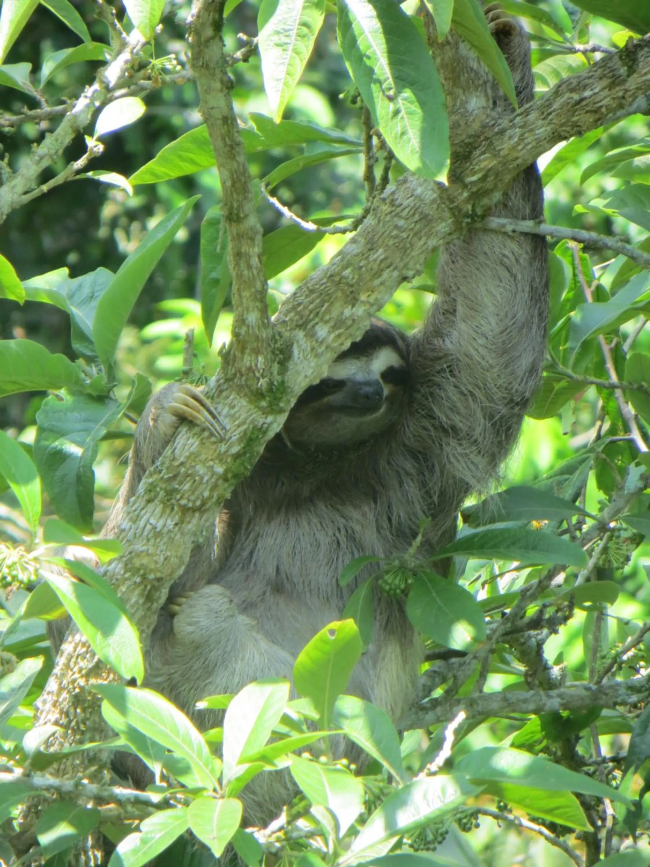Natural landscape in Guayabo Lodge