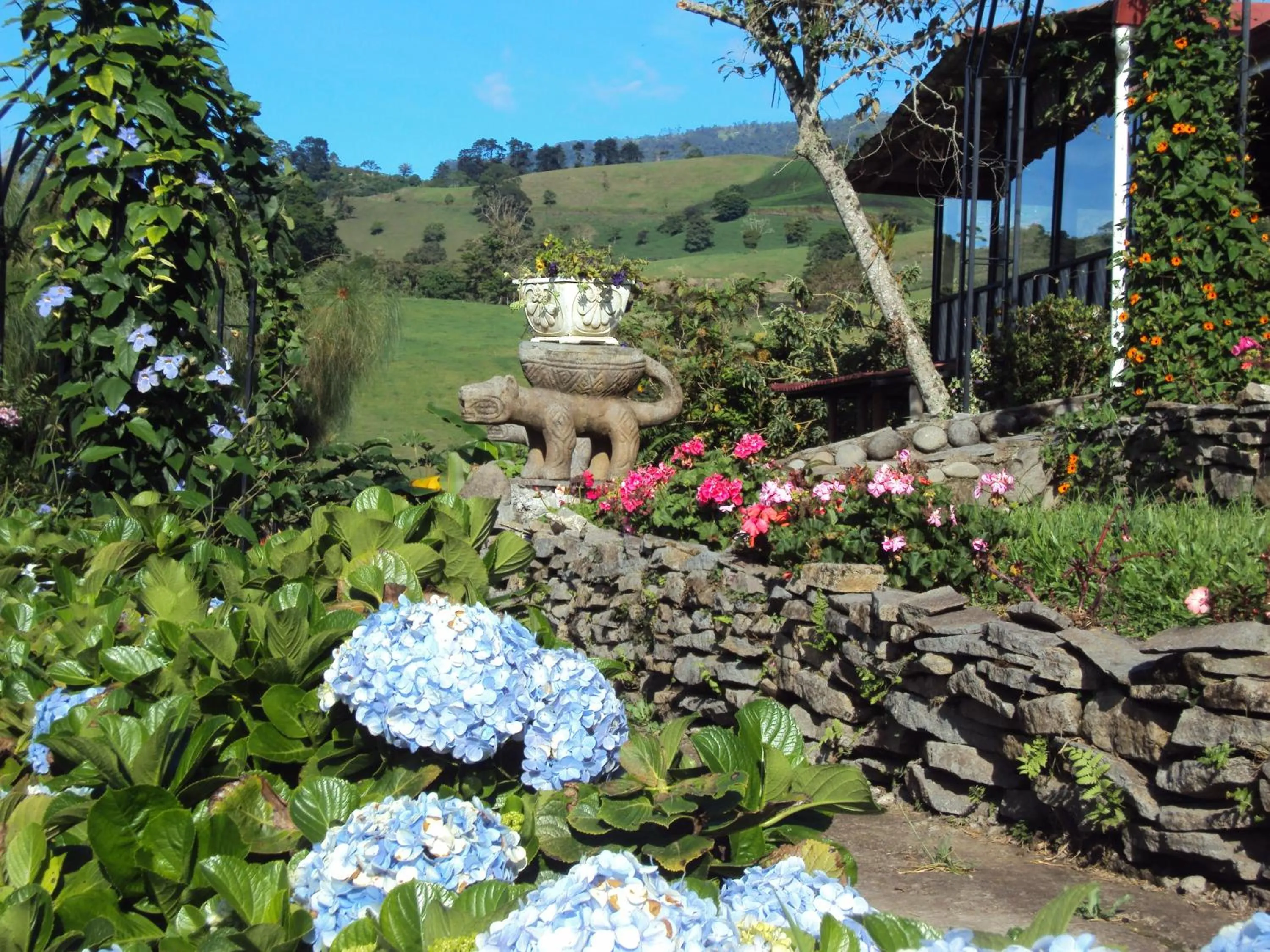 Garden in Guayabo Lodge