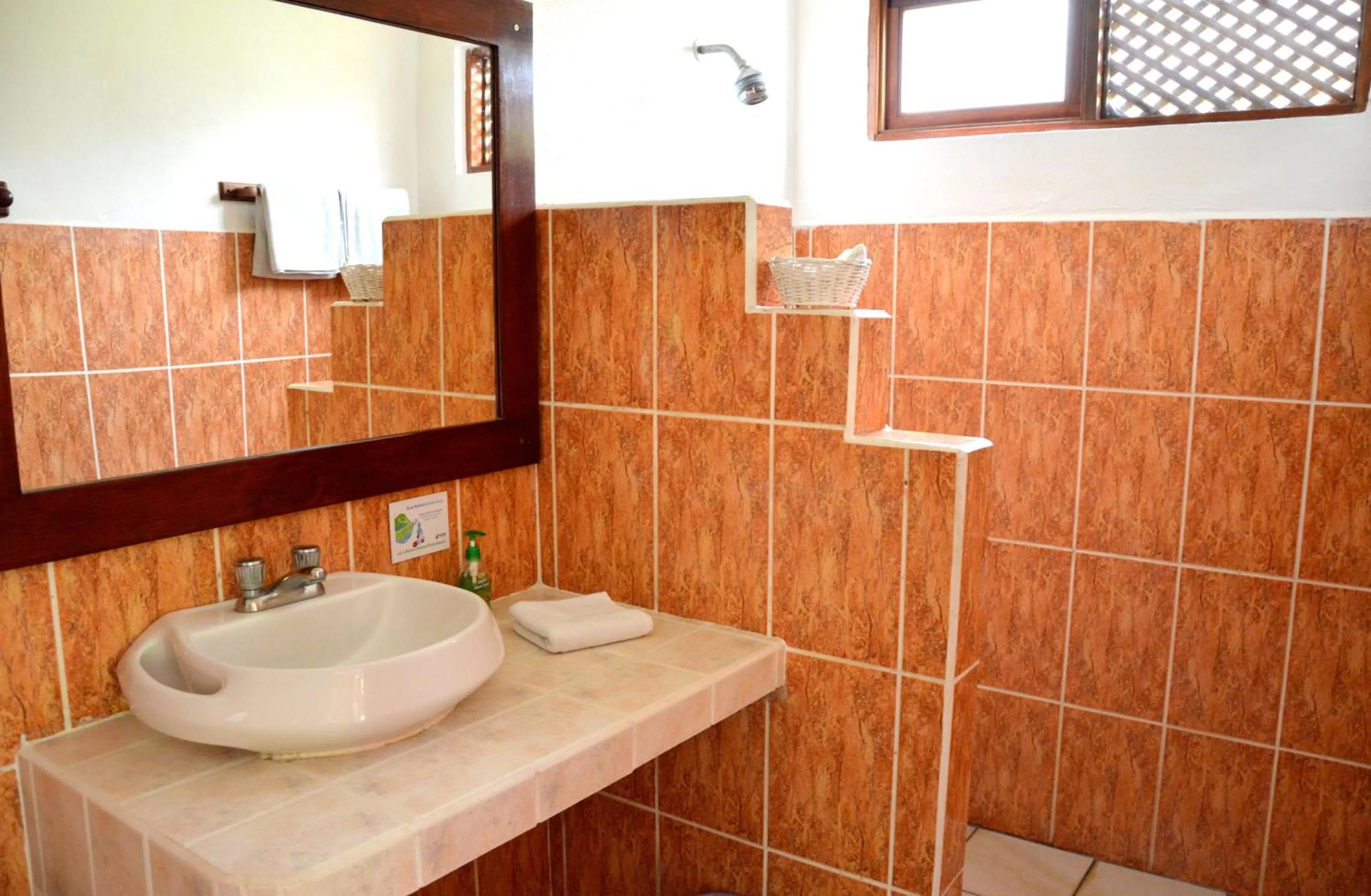 Bathroom in Guayabo Lodge