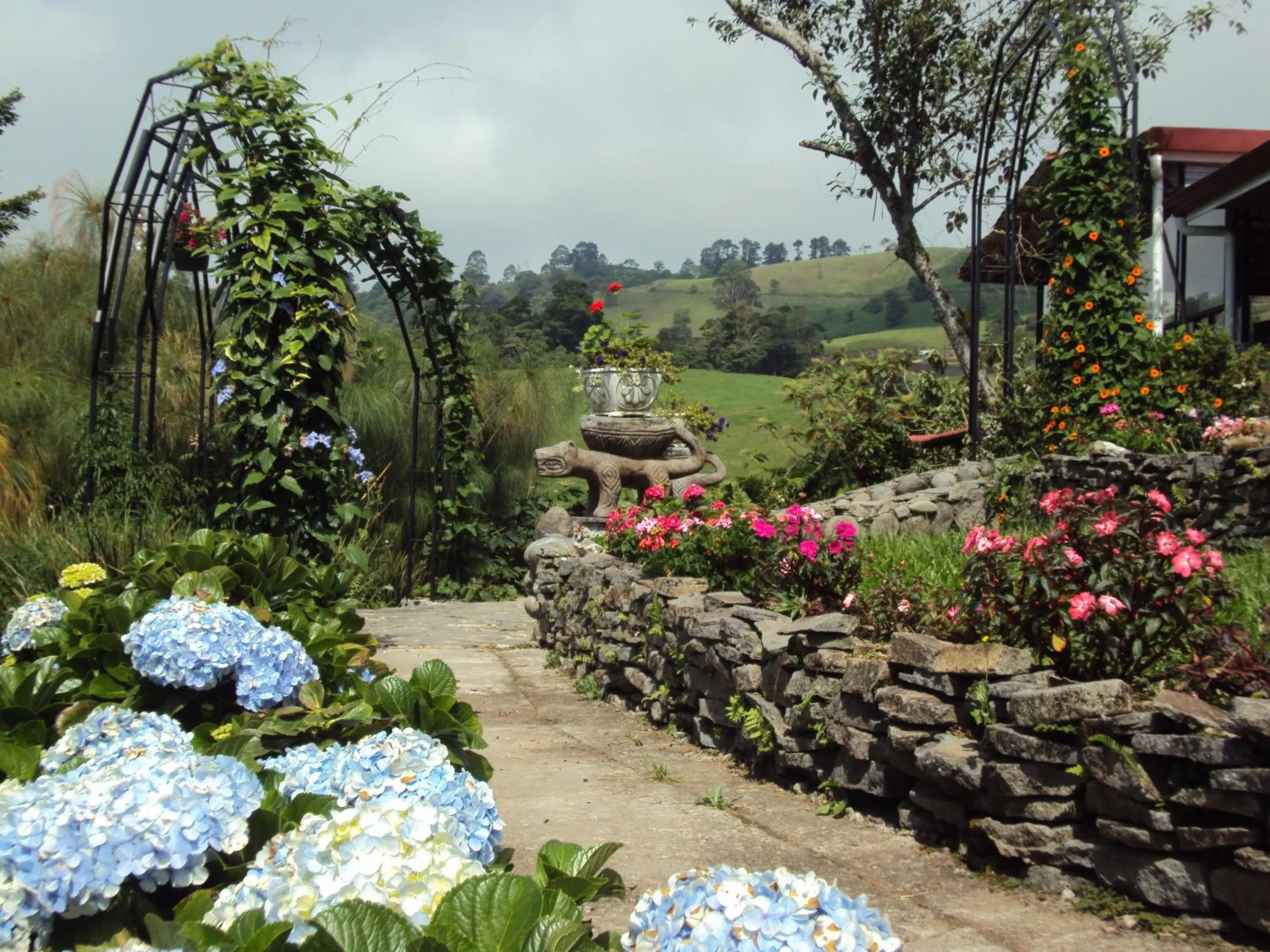 Garden in Guayabo Lodge