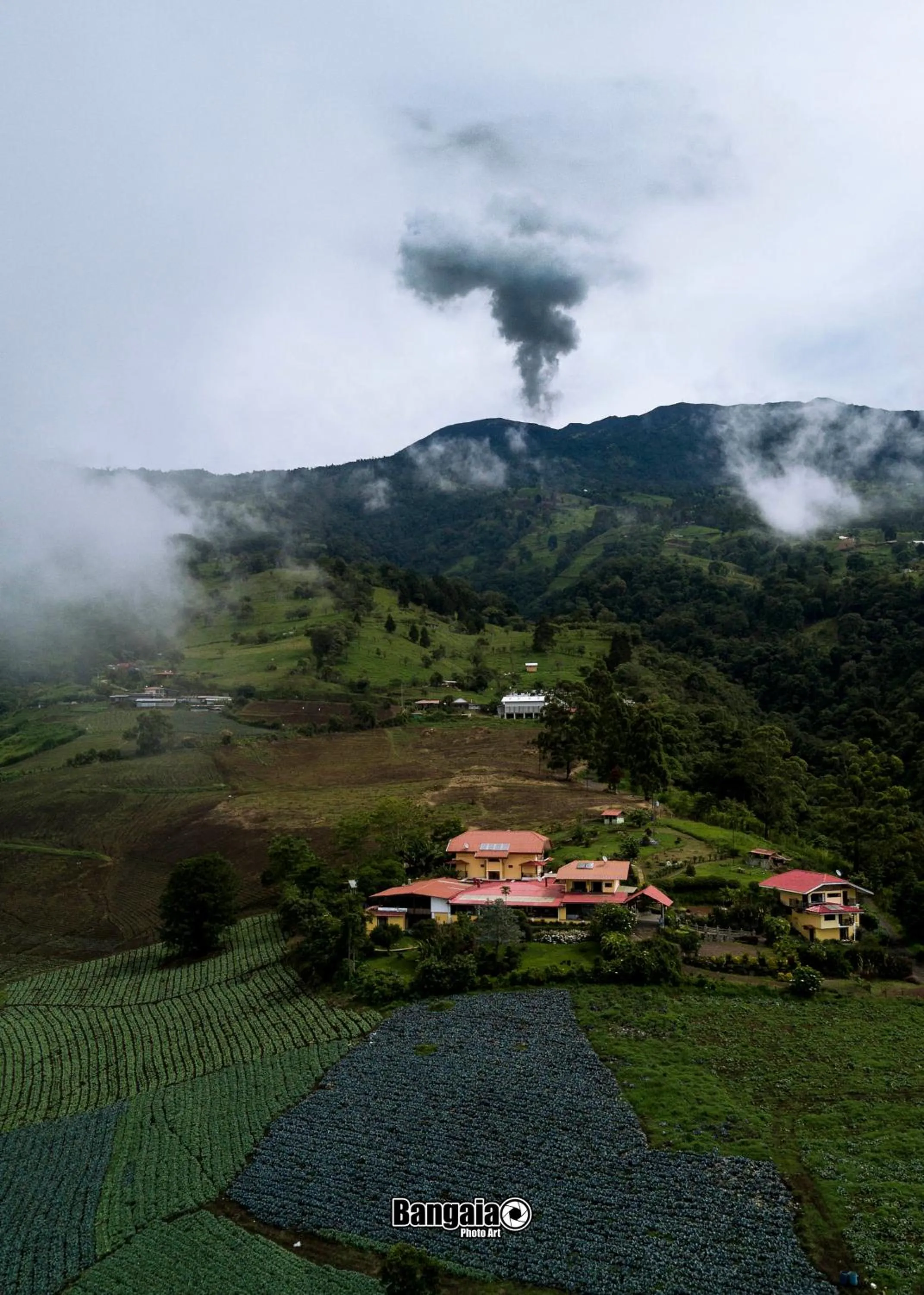 Natural landscape in Guayabo Lodge