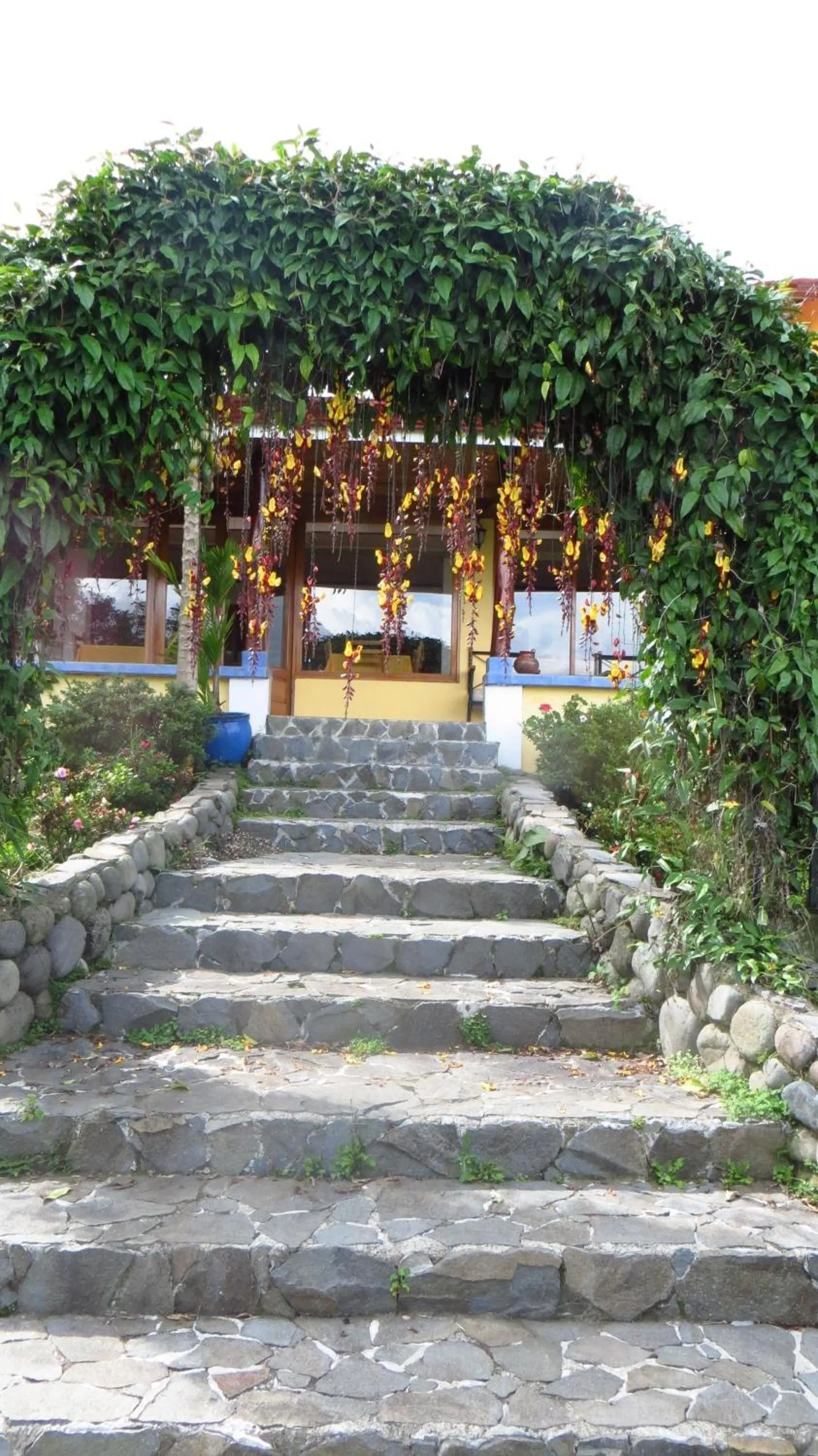 Garden in Guayabo Lodge