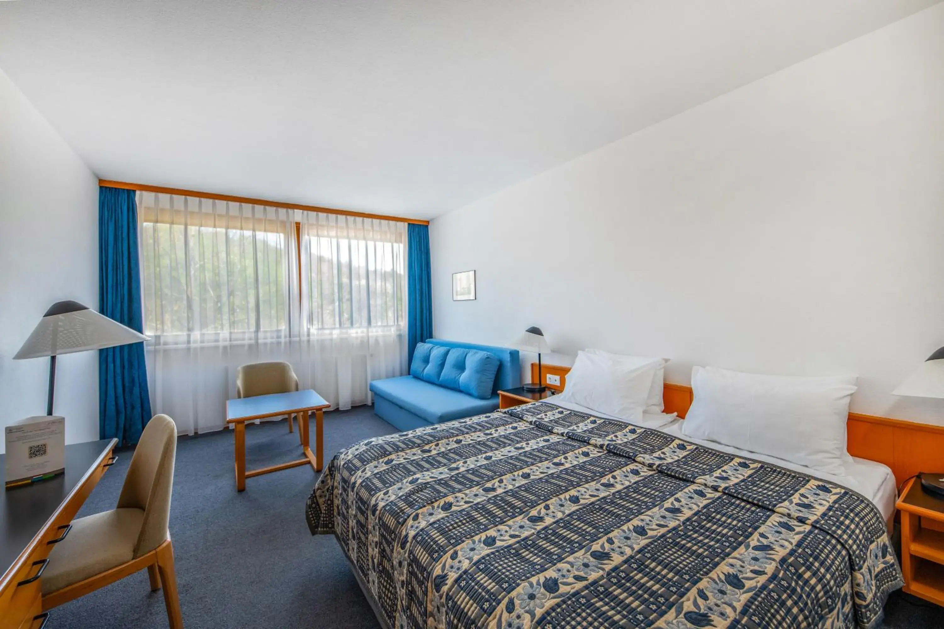 Standard Plus Room with Sofa in Hotel Club Tihany Standard Plus Room with Sofa in Hotel Club Tihany