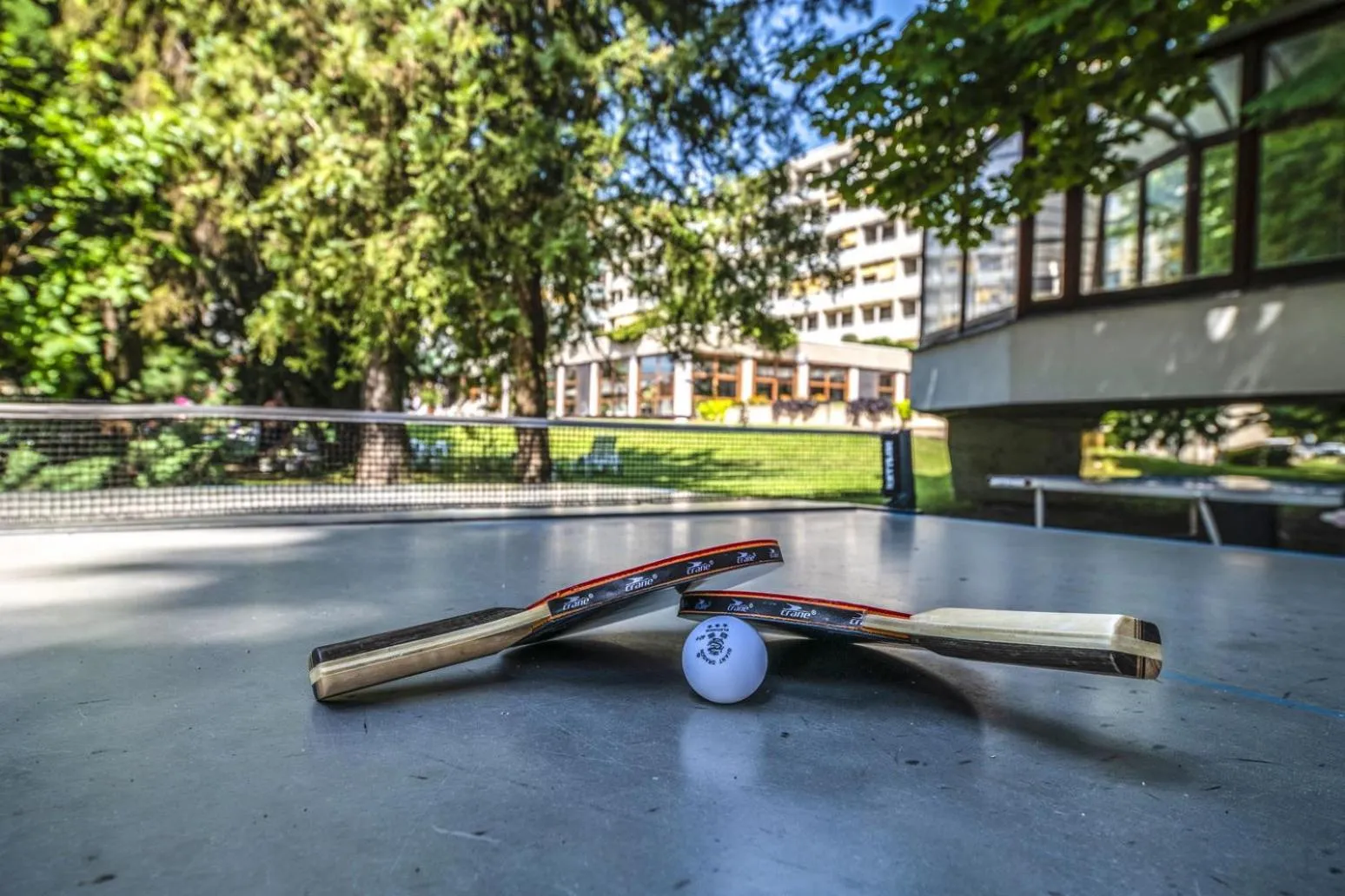 Activities in Hotel Club Tihany