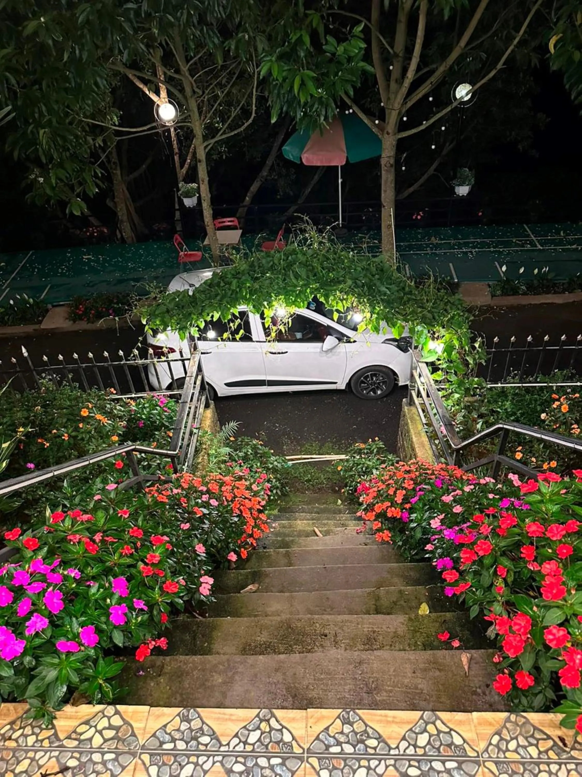 Garden in An An Homestay Bảo Lộc