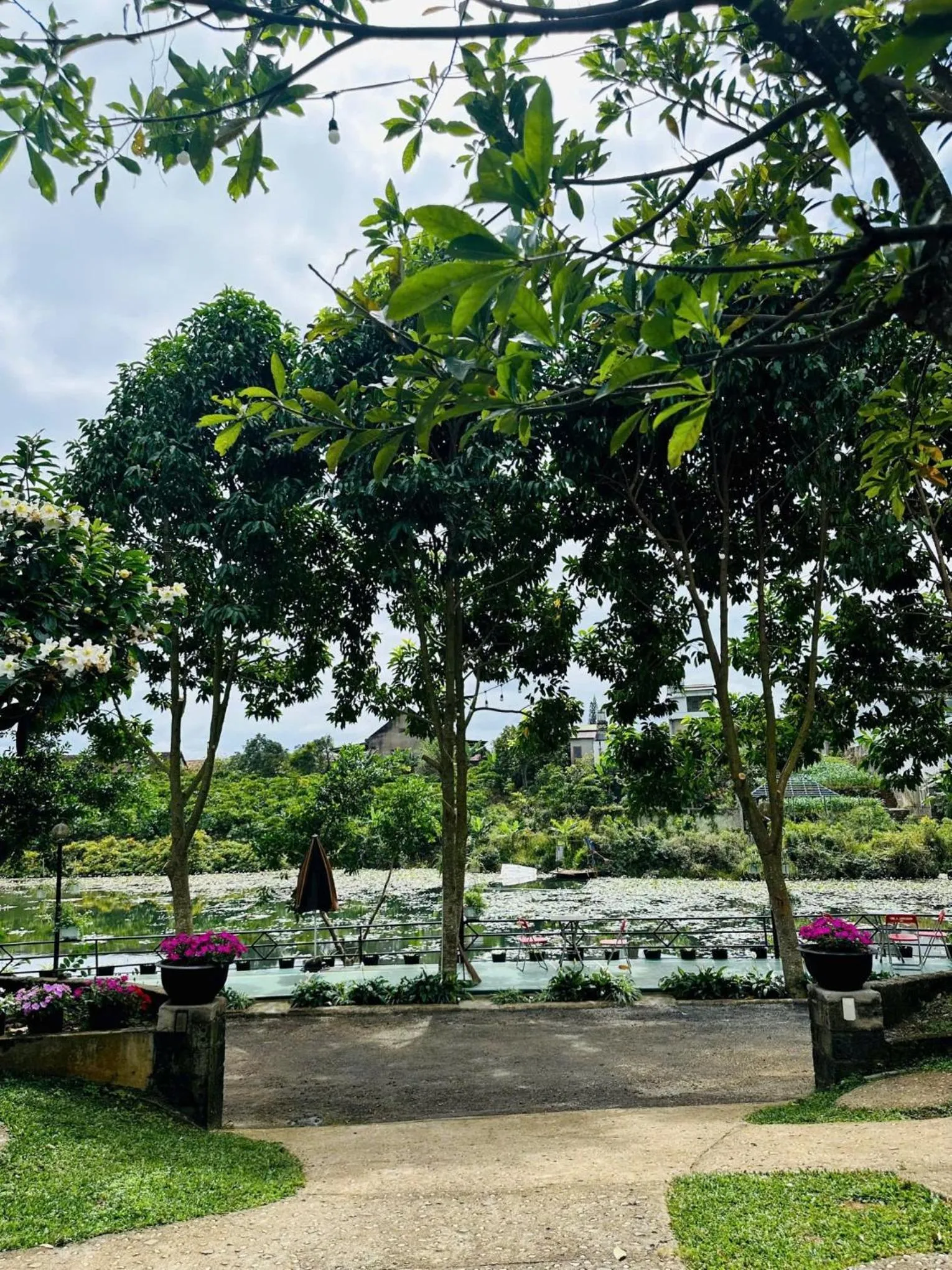 Day in An An Homestay Bảo Lộc