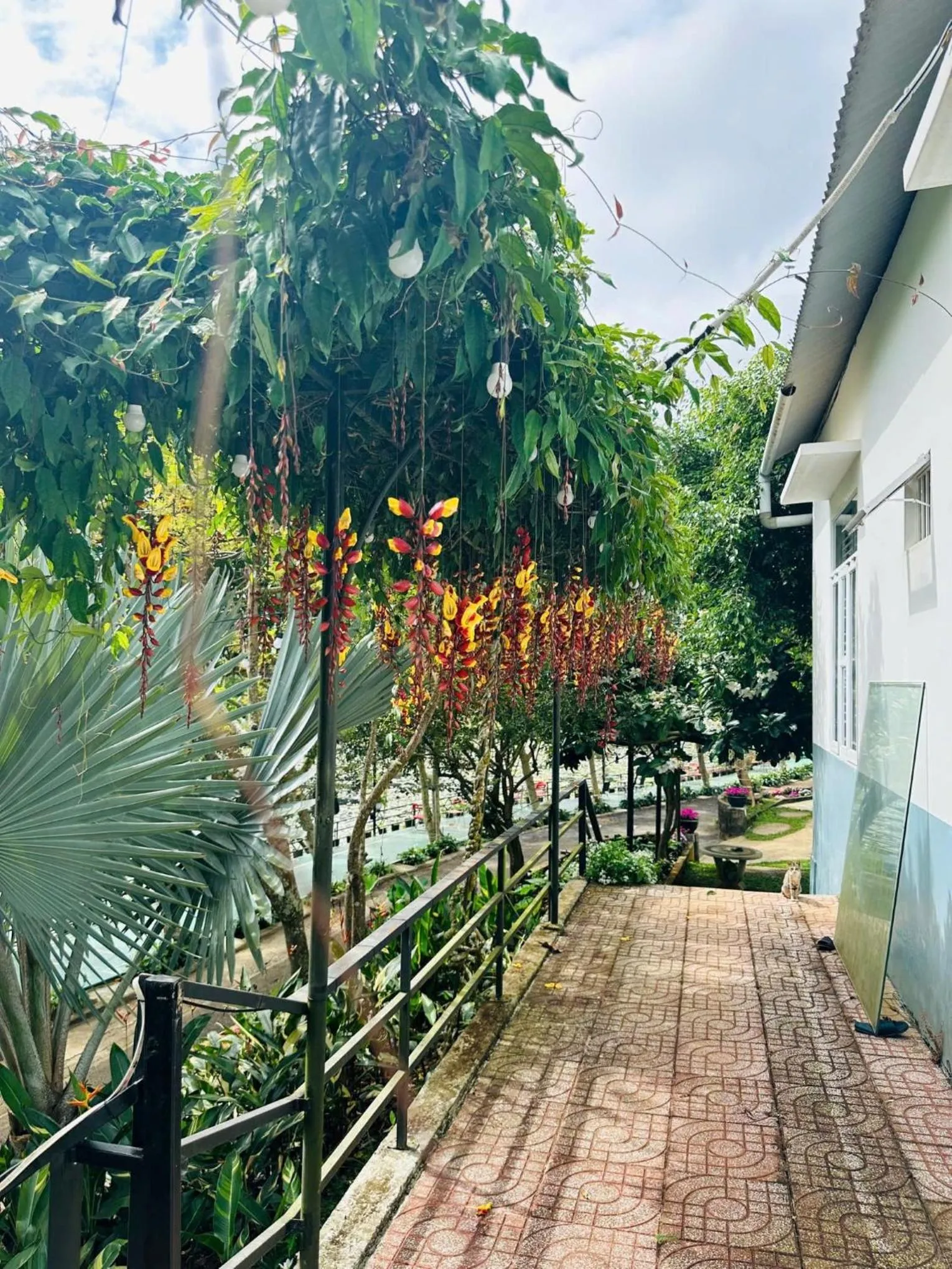 Garden view in An An Homestay Bảo Lộc