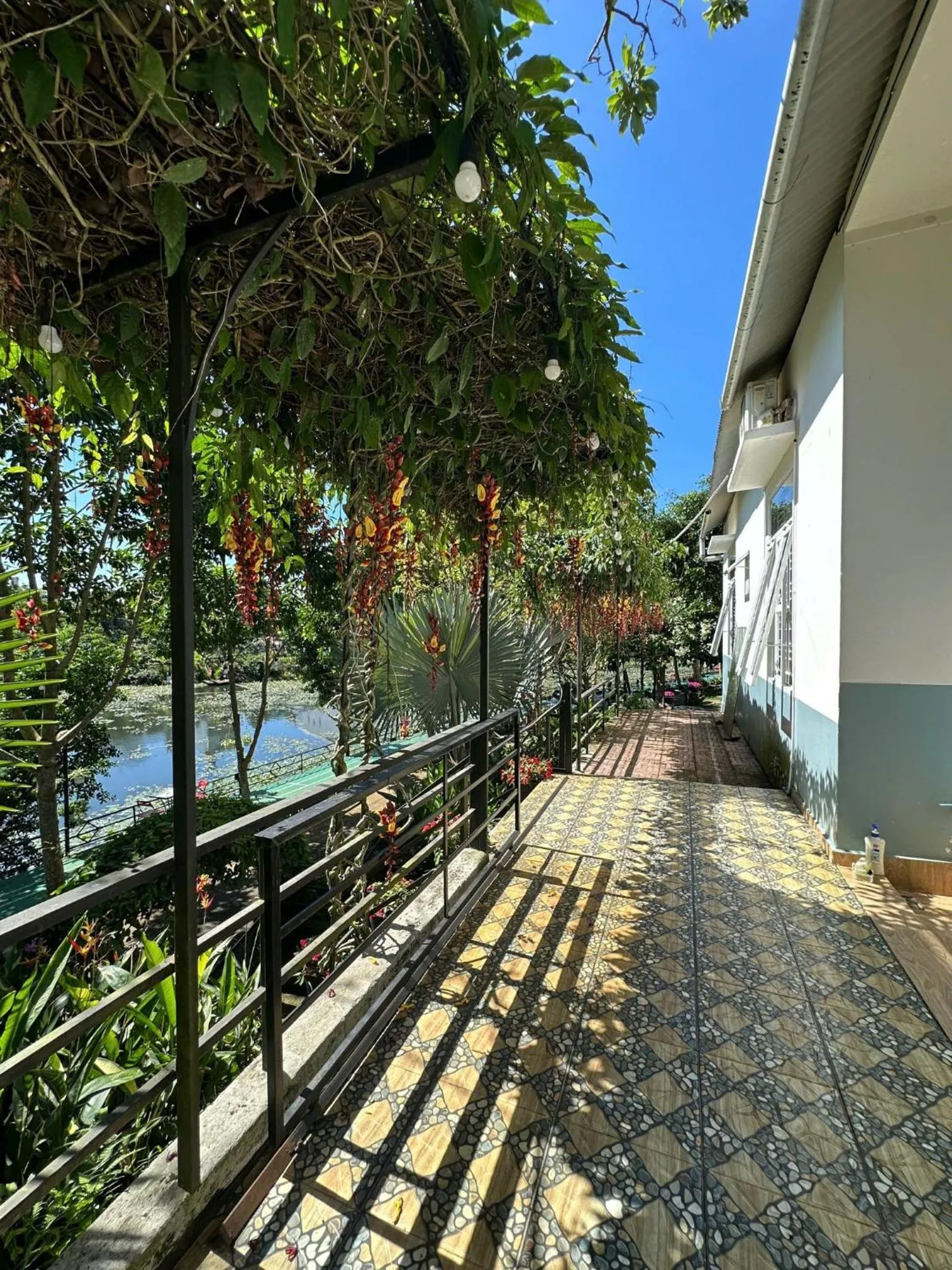 View (from property/room) in An An Homestay Bảo Lộc