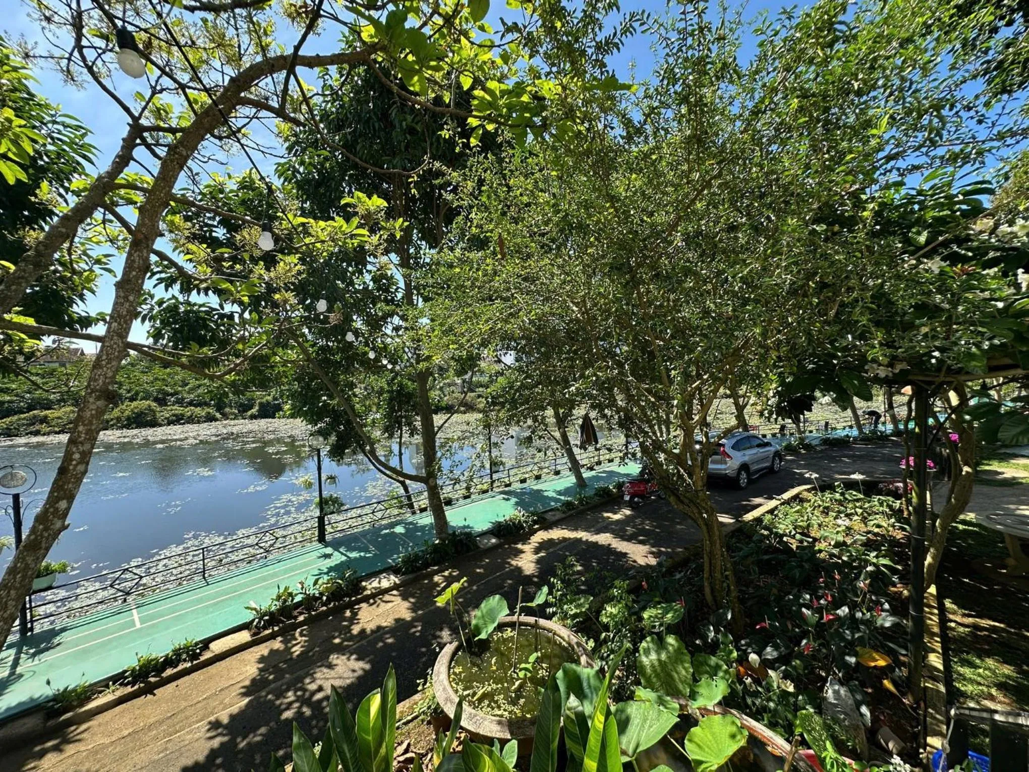 Spring in An An Homestay Bảo Lộc