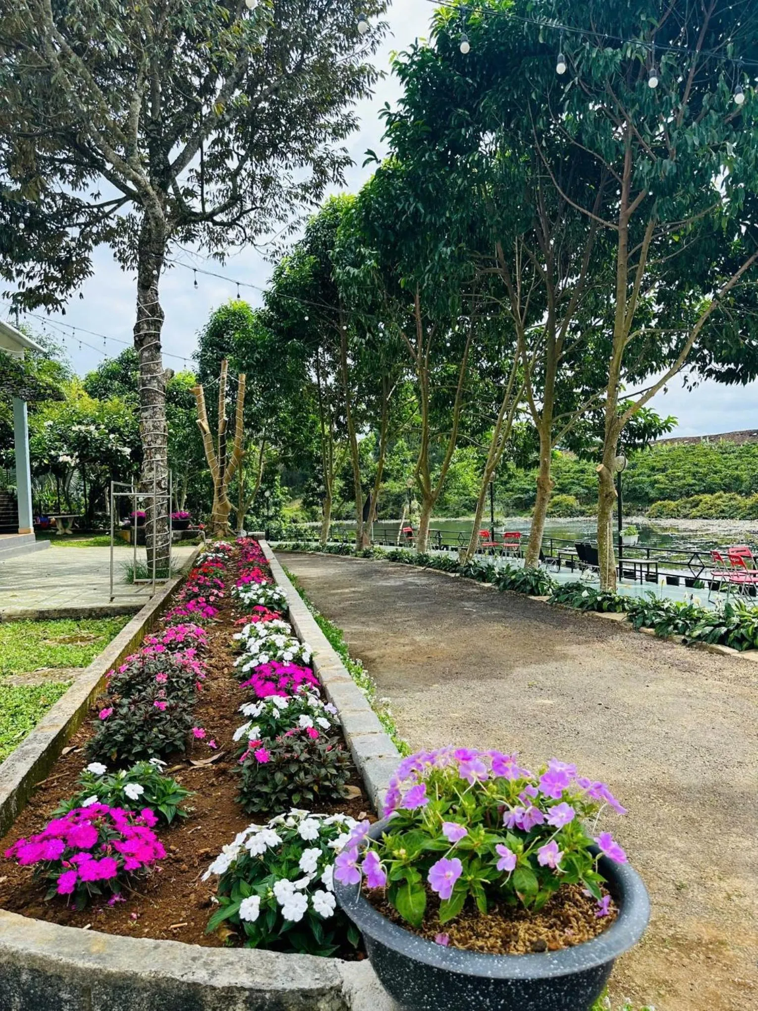 Natural landscape in An An Homestay Bảo Lộc