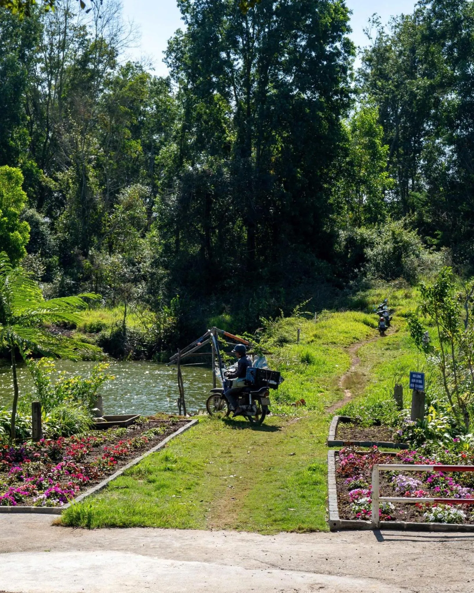 Spring in An An Homestay Bảo Lộc