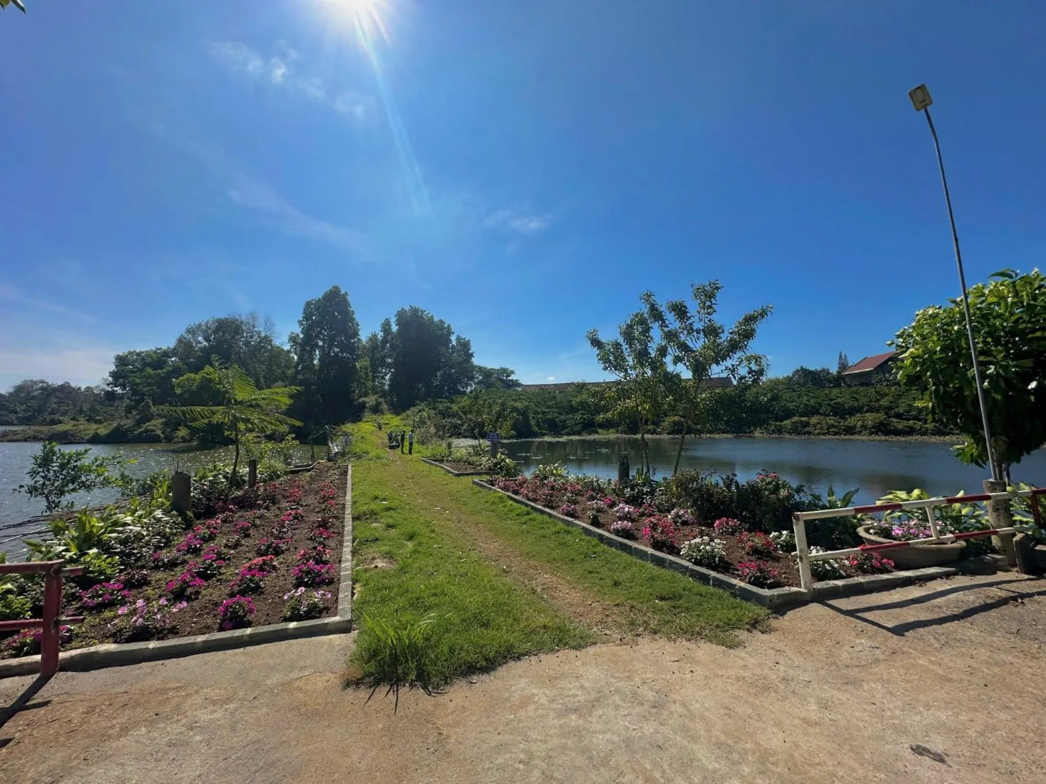 Garden in An An Homestay Bảo Lộc
