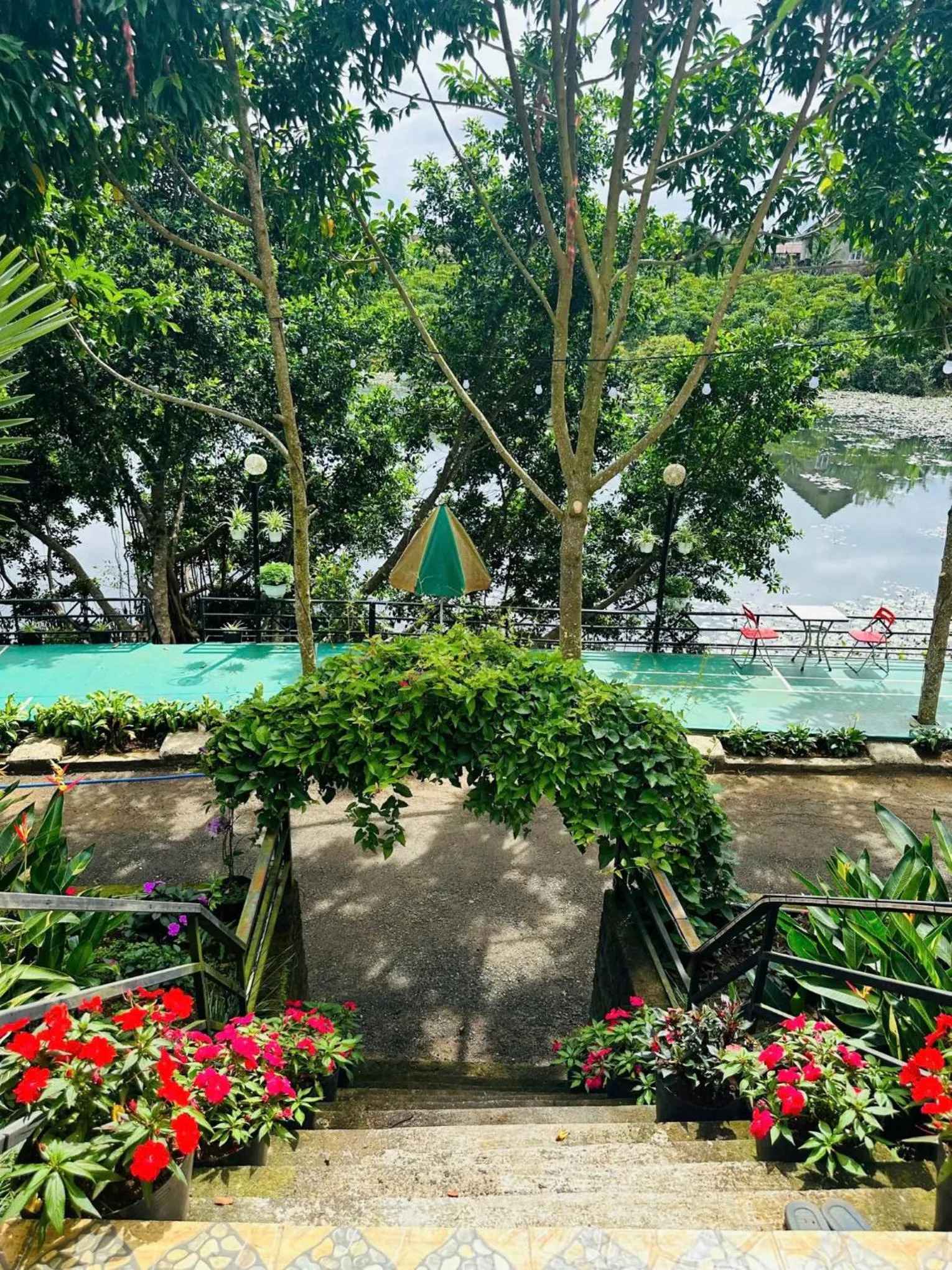 Garden view in An An Homestay Bảo Lộc