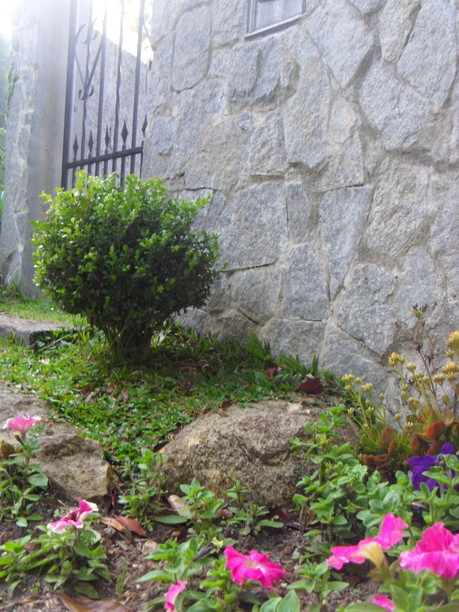 Garden in Villa Hegus no Alto da Boa Vista