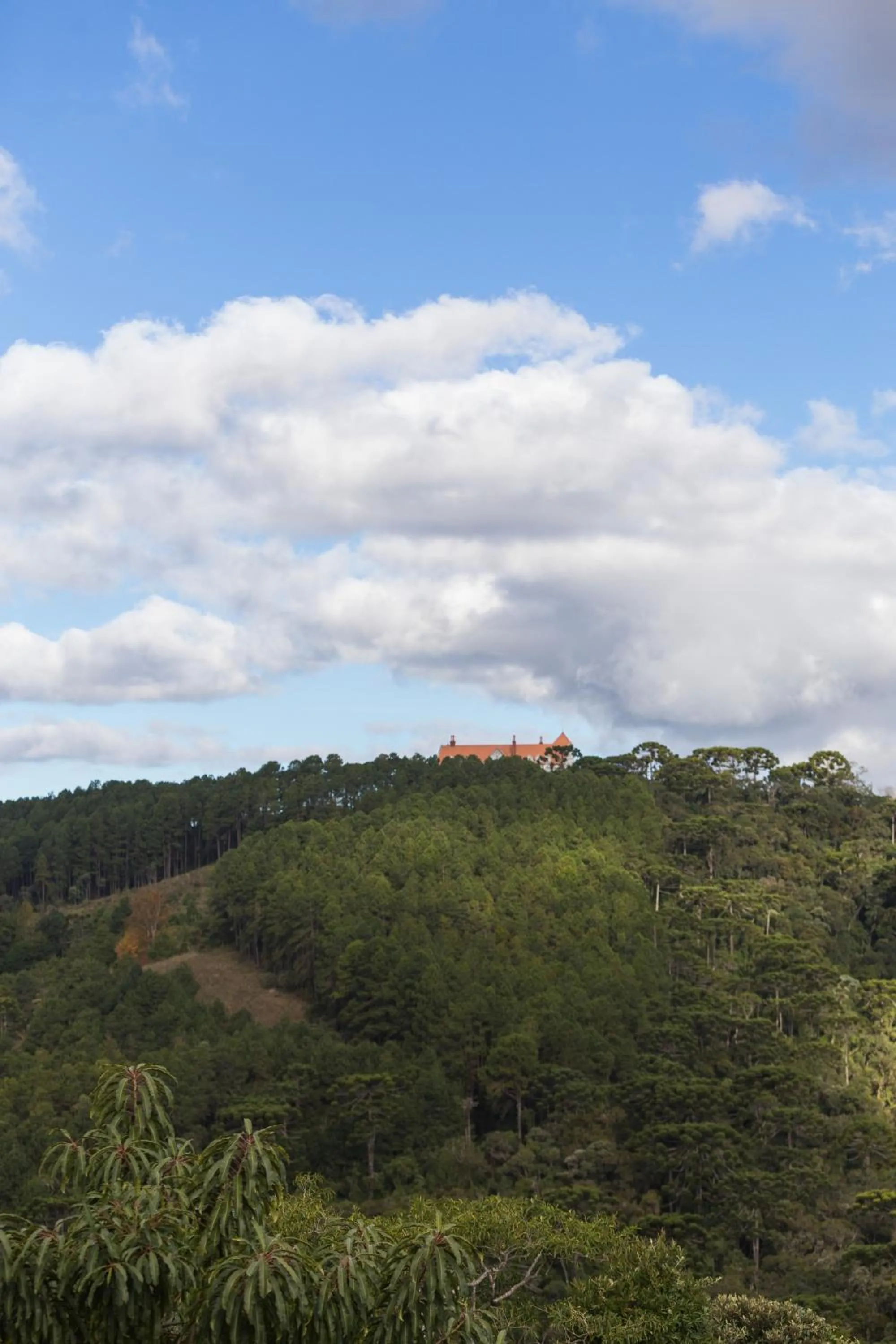 Villa Hegus no Alto da Boa Vista