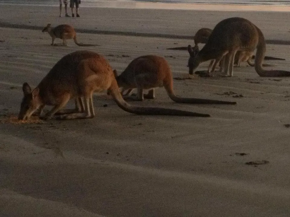 Location in Seaforth Holiday Units