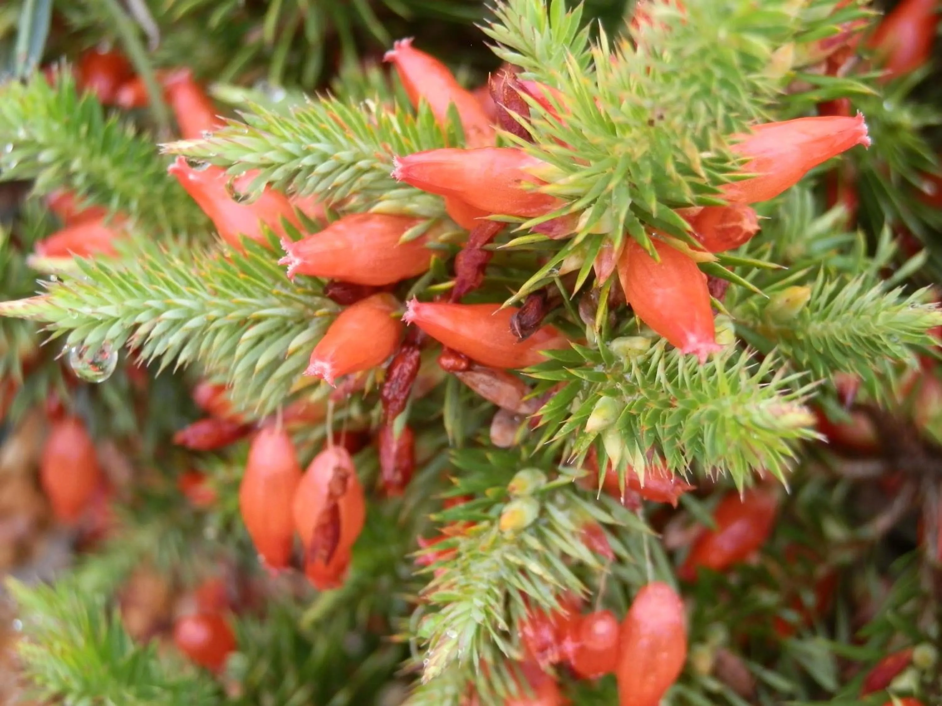 Other in Jurien Bay Tourist Park