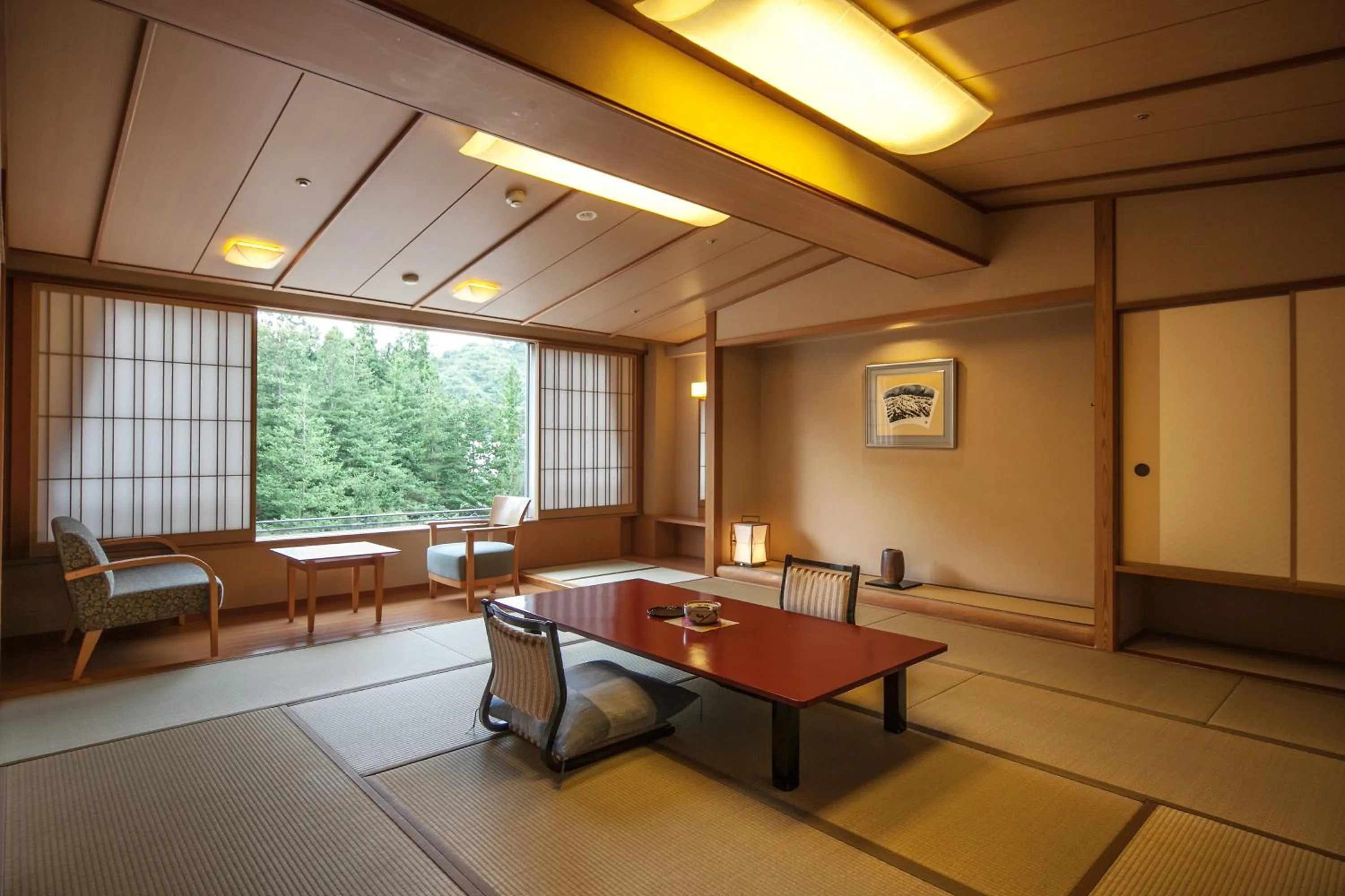 Photo of the whole room in Hotel New Mitoya