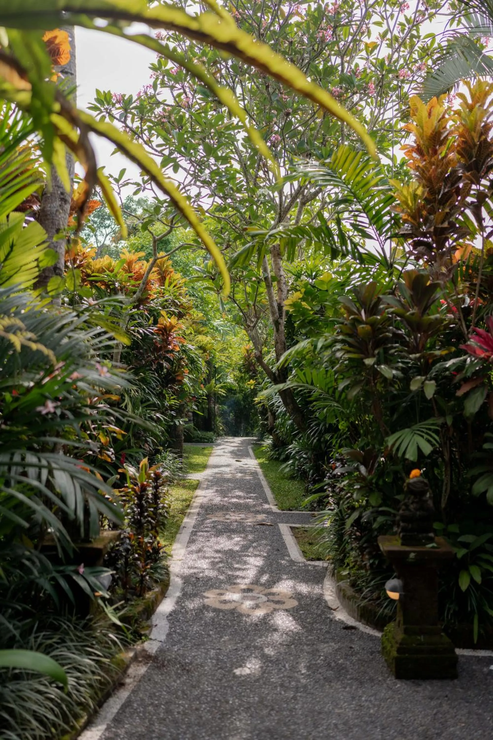 Garden in Sama's Cottages and Villas