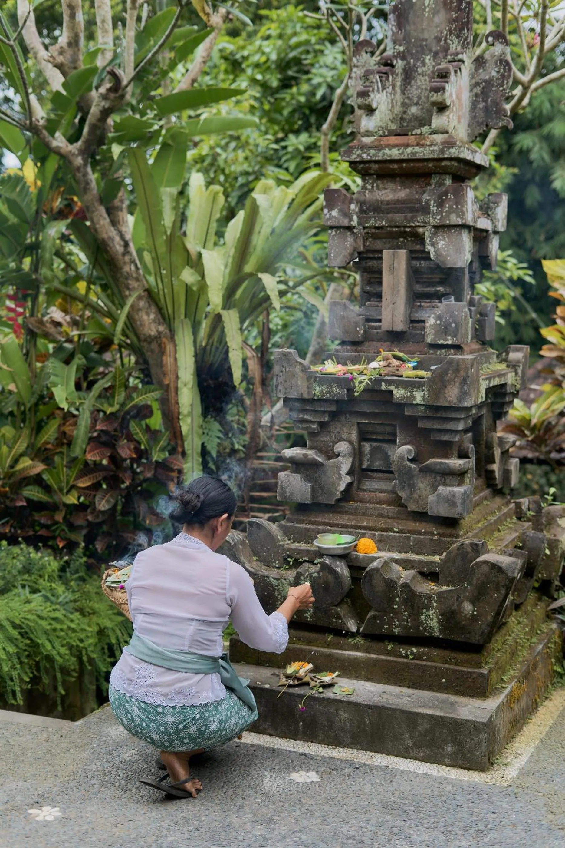 Garden in Sama's Cottages and Villas