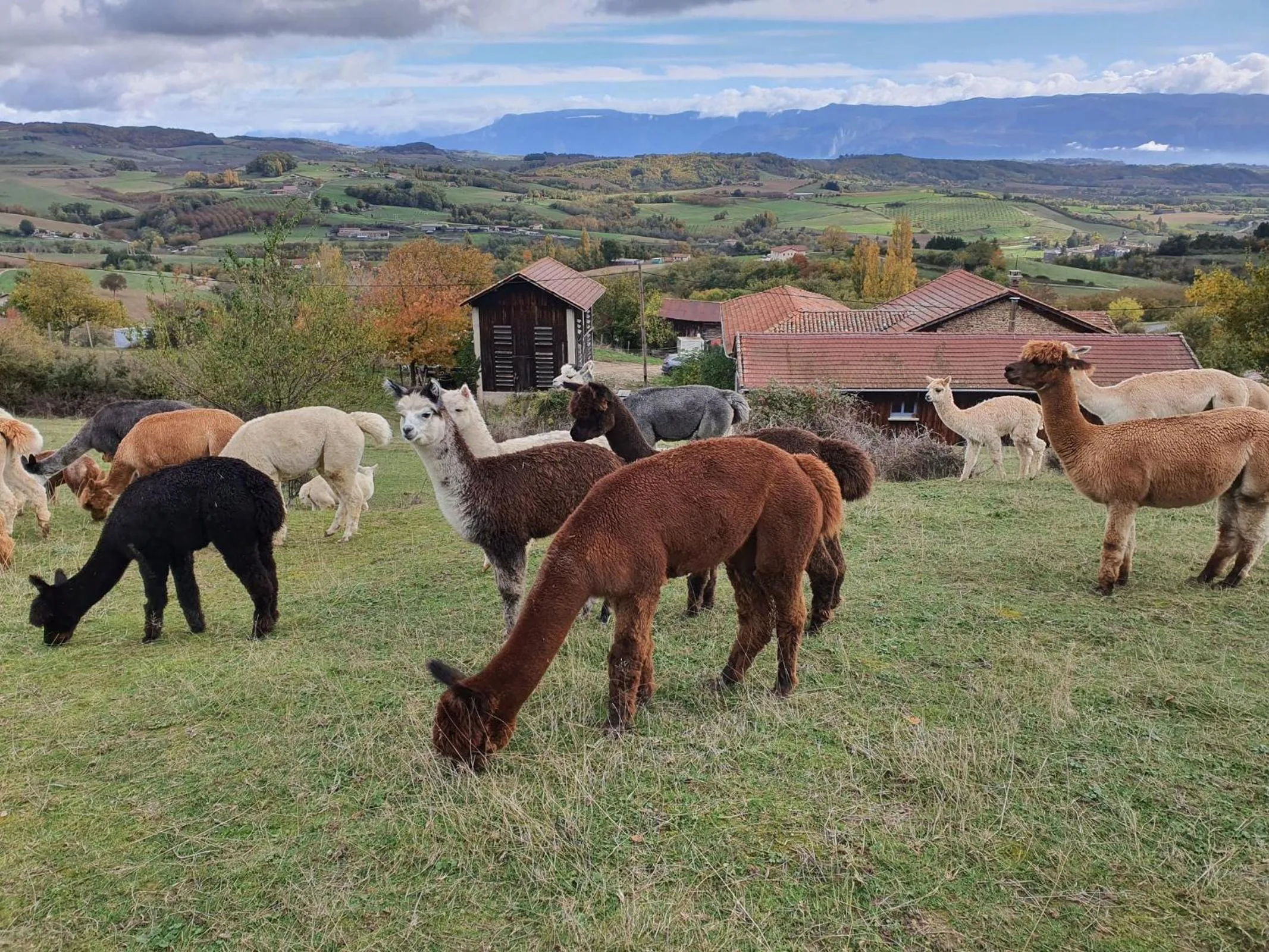 Property building in ALPAGAS DU DOMAINE MAEL
