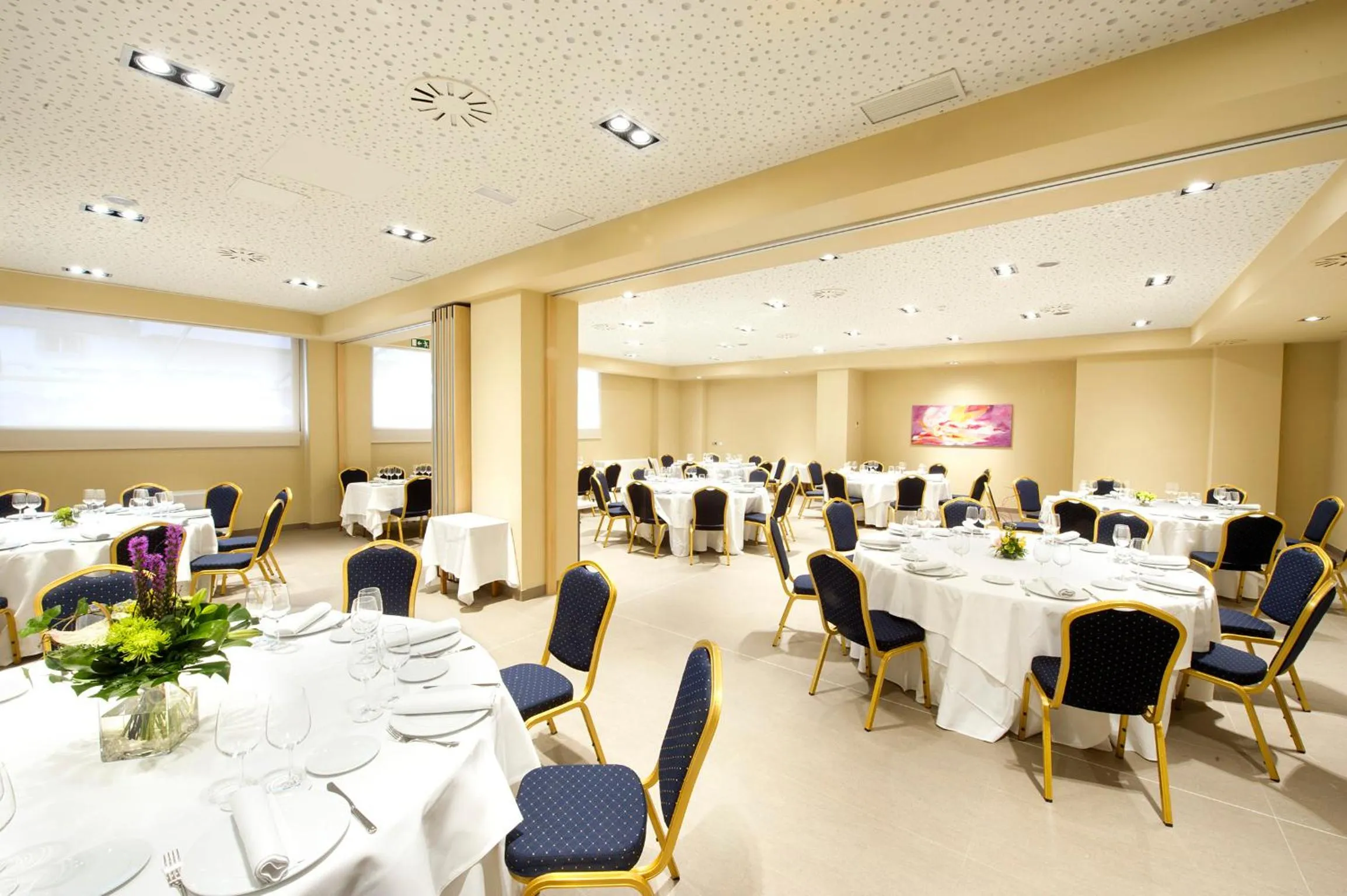 Banquet/Function facilities in Sercotel Ciudad de Miranda