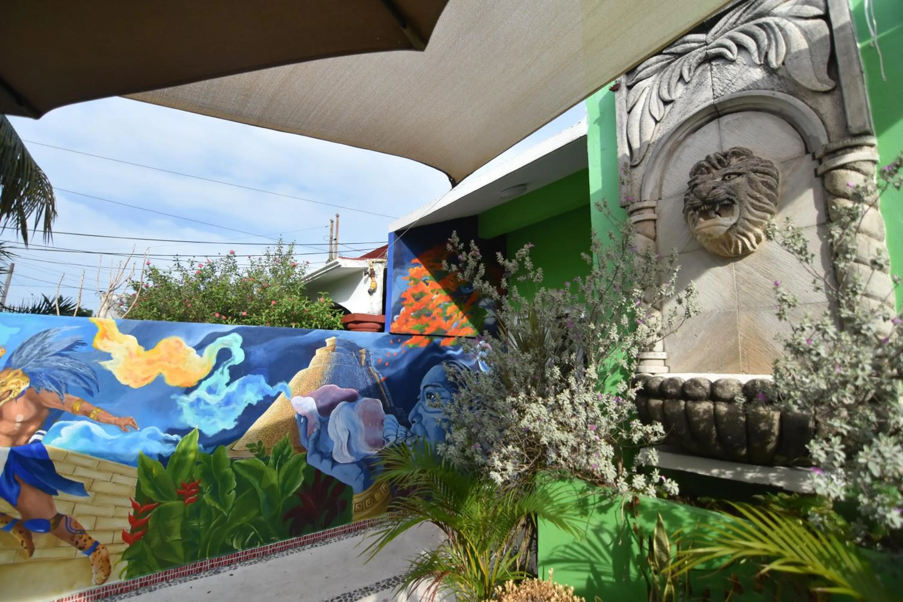 Garden in Villa Leo Cancún Downtown