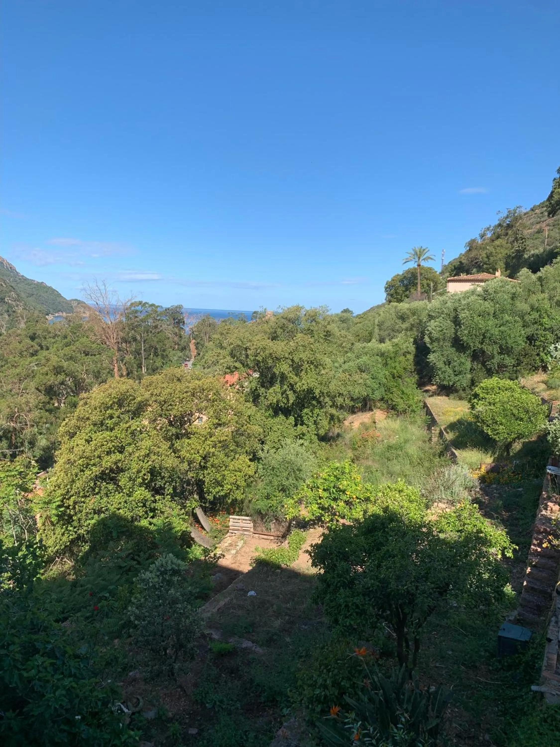 Hôtel Colombo- Porto Corse