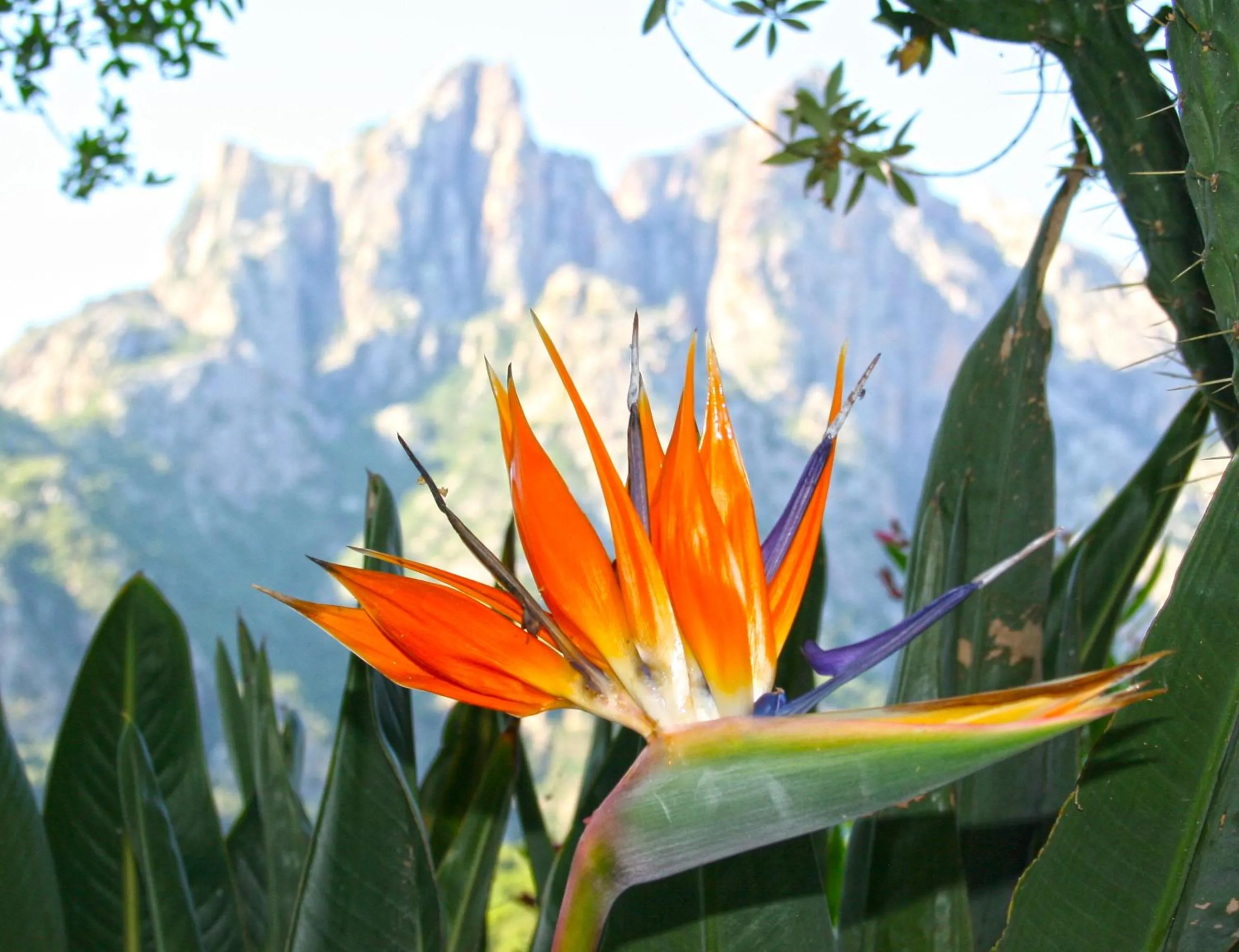 Other in Hôtel Colombo- Porto Corse