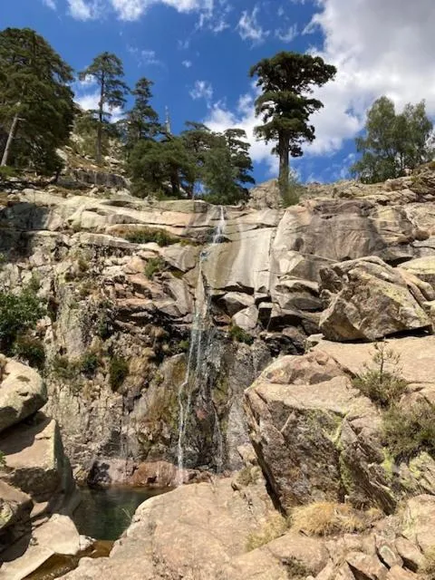 Hôtel Colombo- Porto Corse