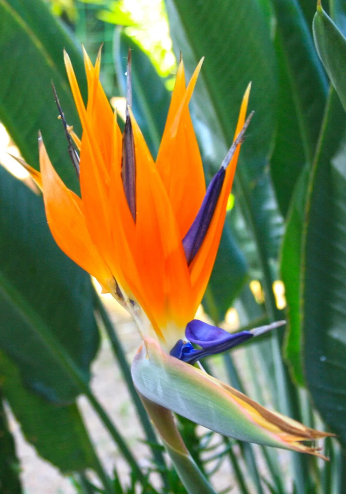 Other in Hôtel Colombo- Porto Corse