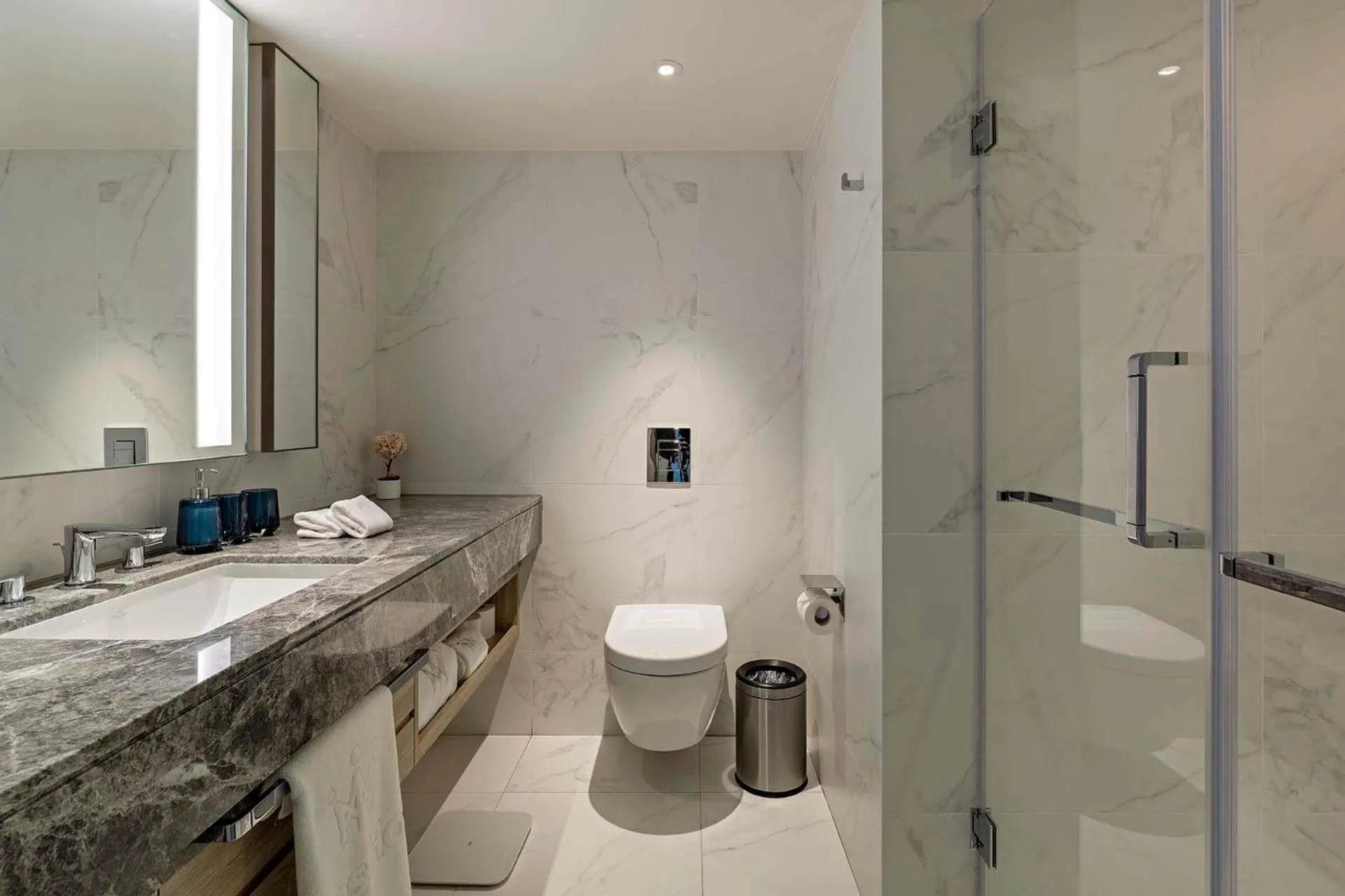 Toilet in Hanns House