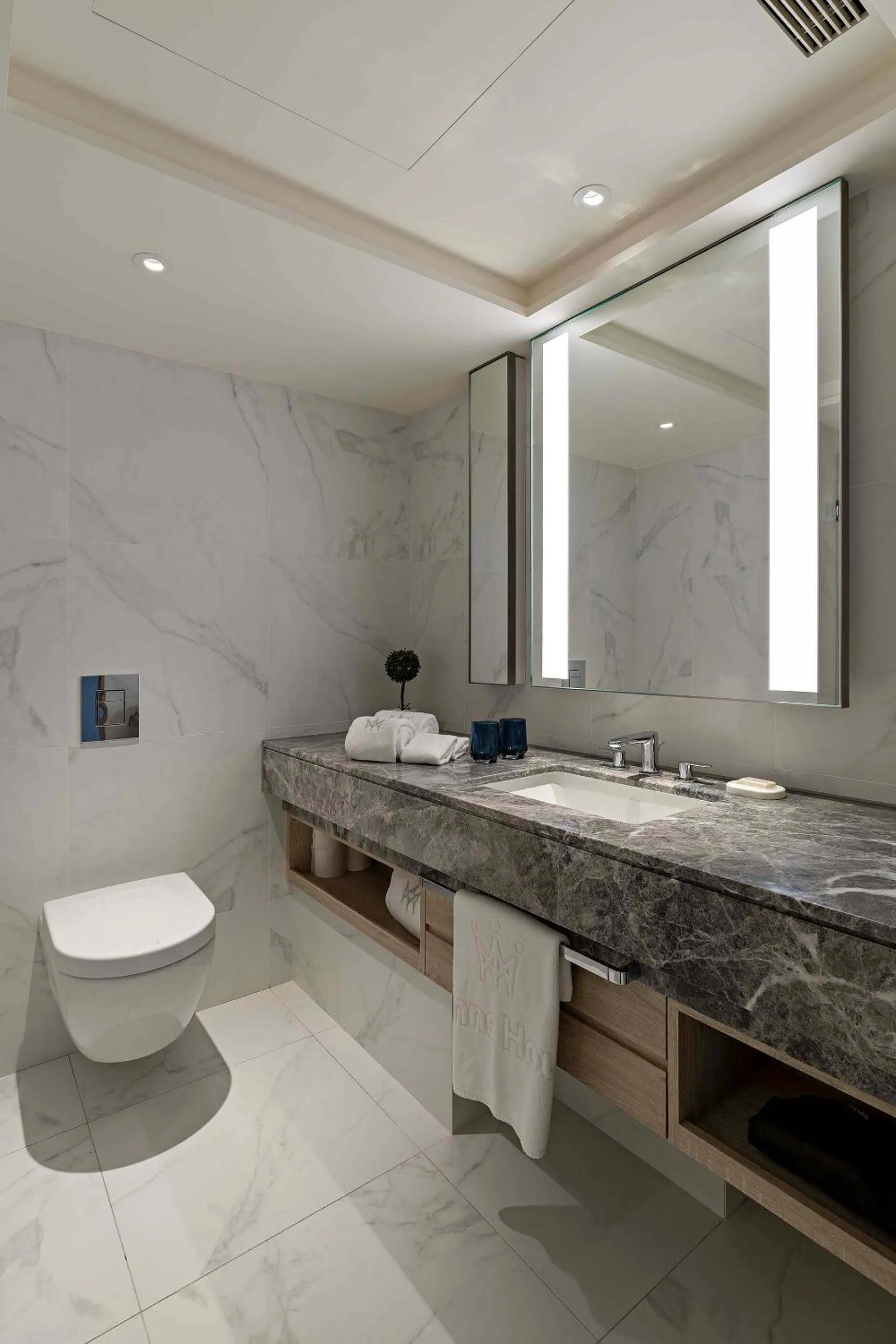 Toilet in Hanns House