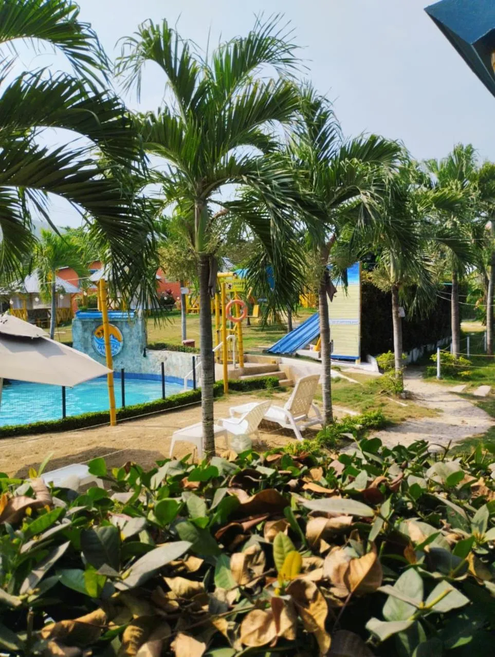 Pool view in La Rivera Playa Palomino