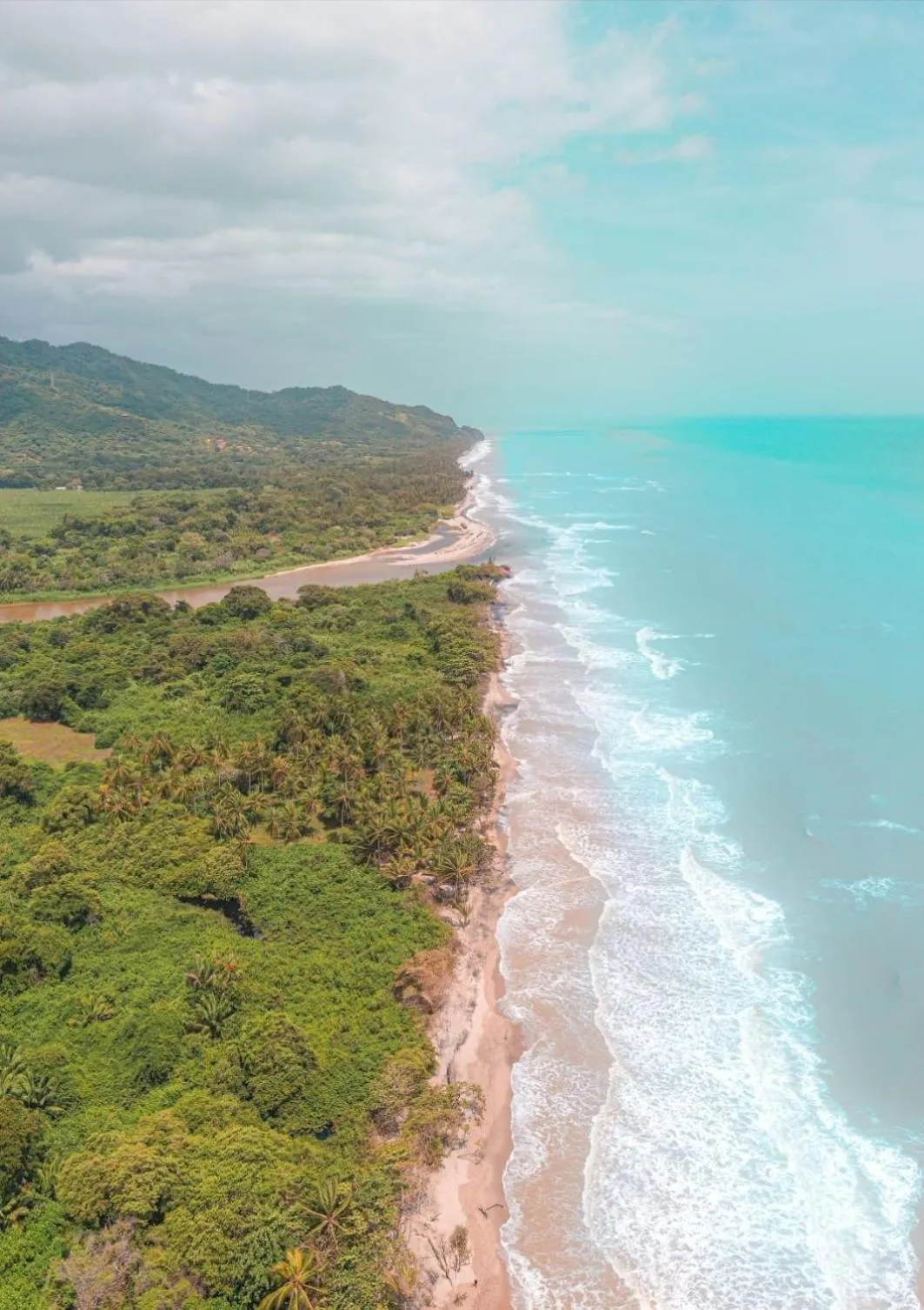 Natural landscape in La Rivera Playa Palomino