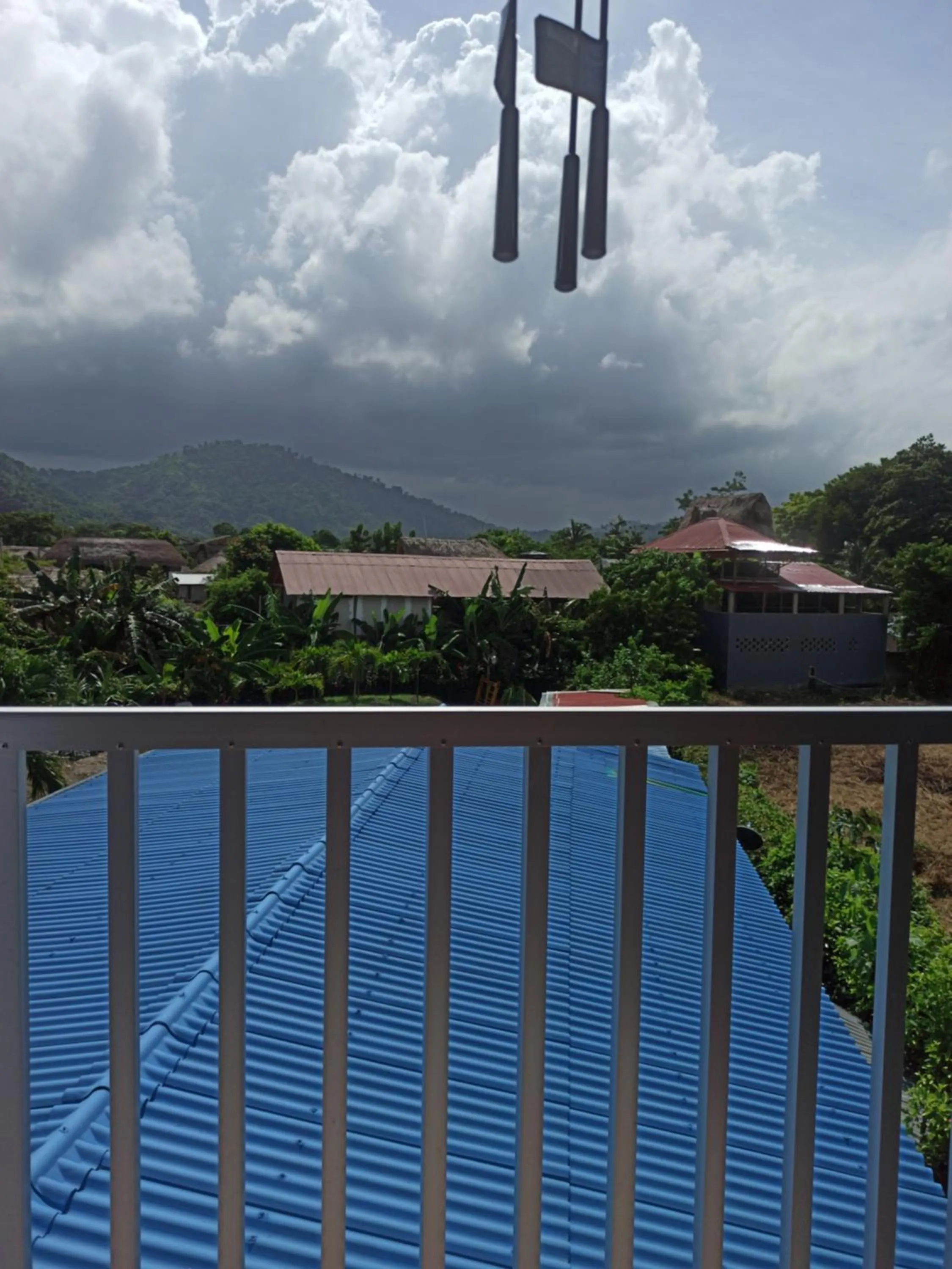 Day in La Rivera Playa Palomino